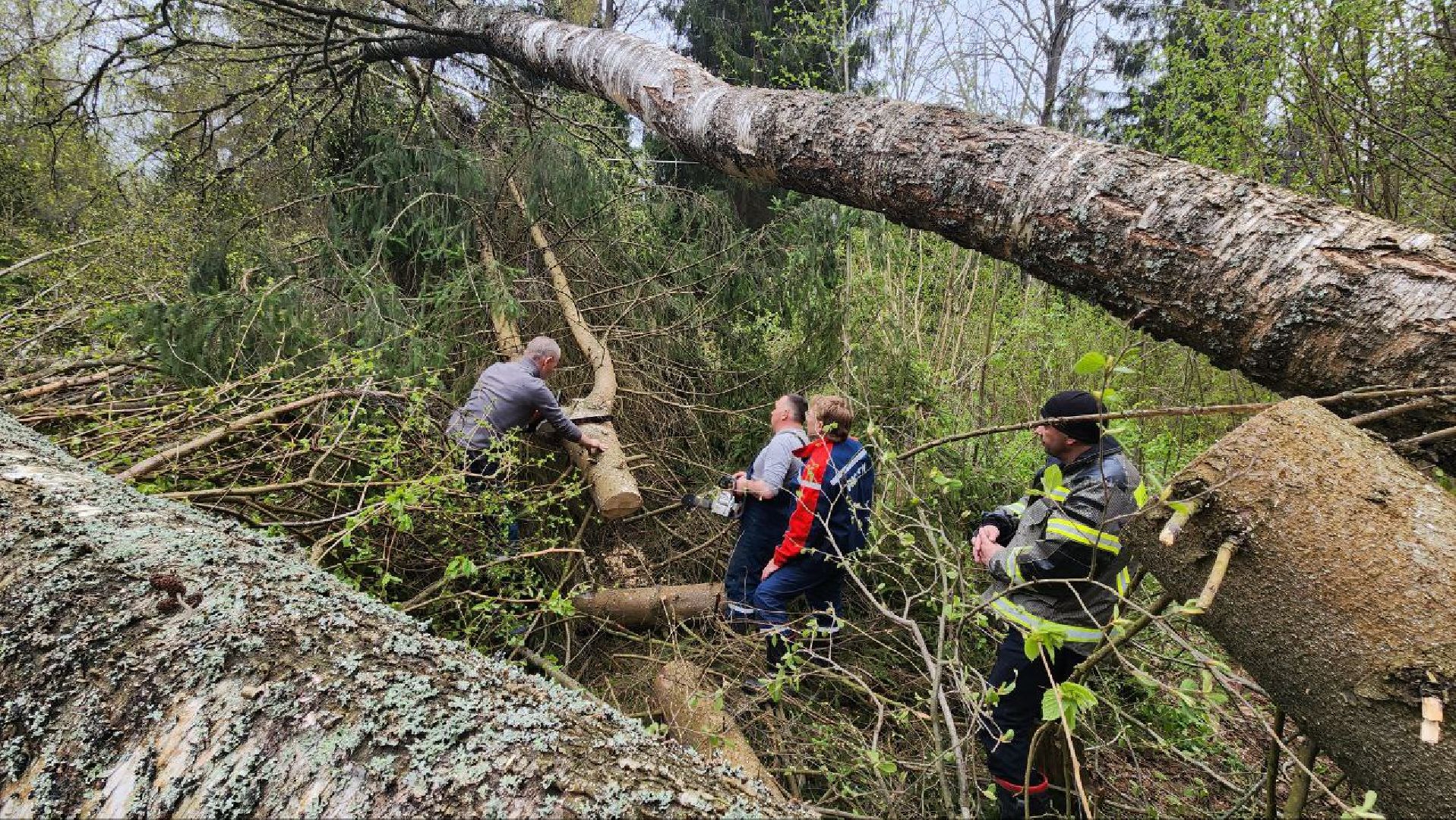 Дмитров, Россети, ЧП, Циклон, Болотоход,