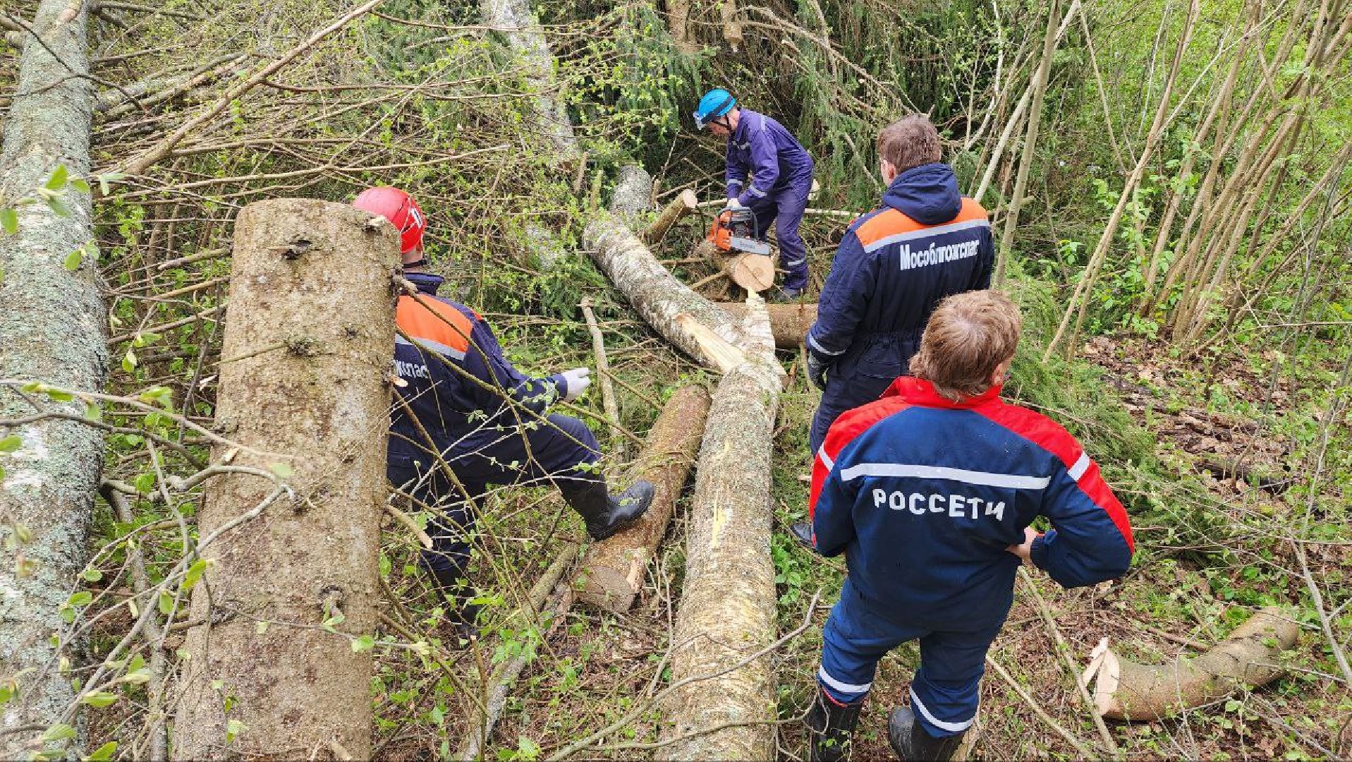 Дмитров, Россети, ЧП, Циклон, Болотоход,