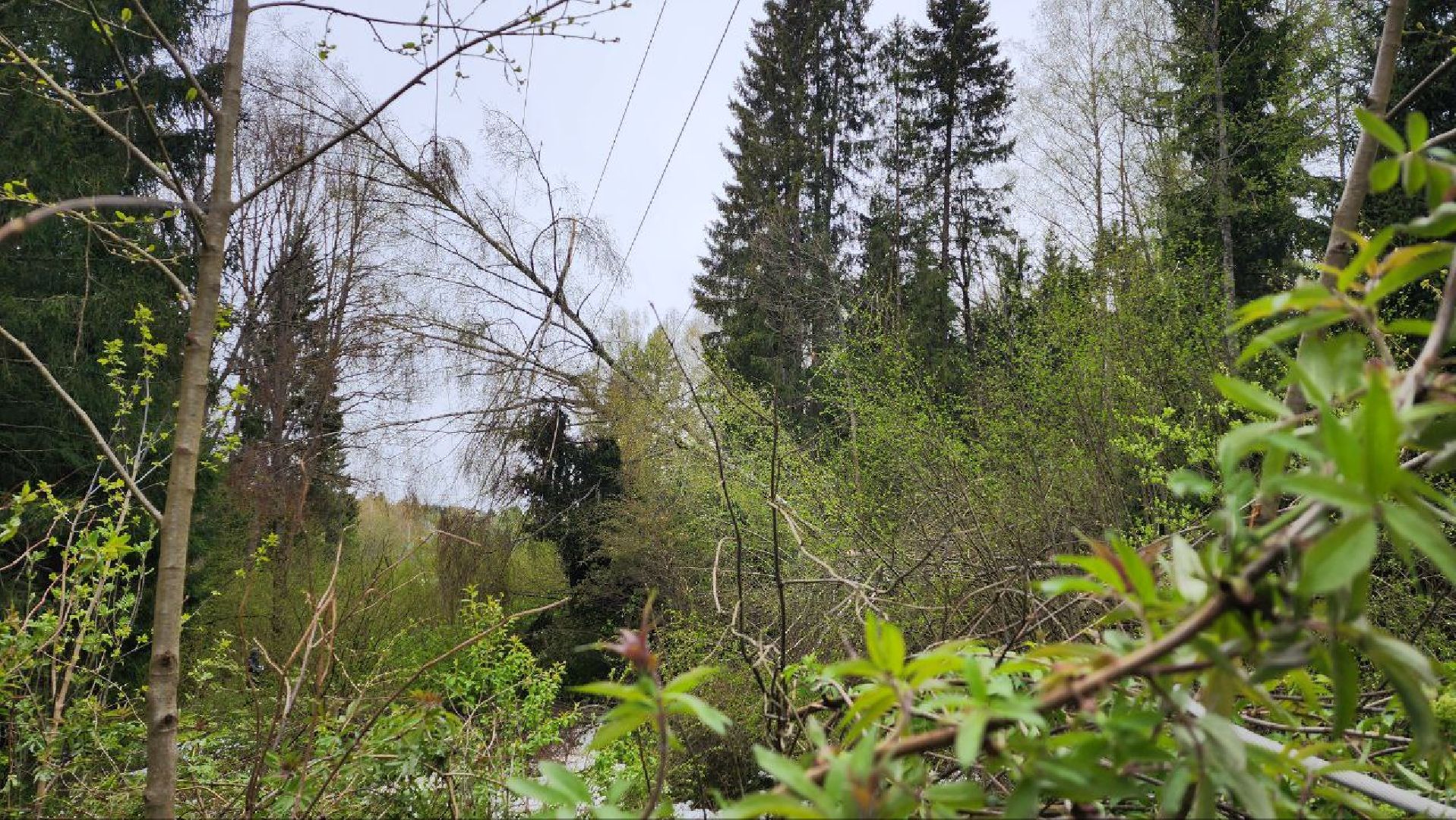 Дмитров, Россети, ЧП, Циклон, Болотоход,