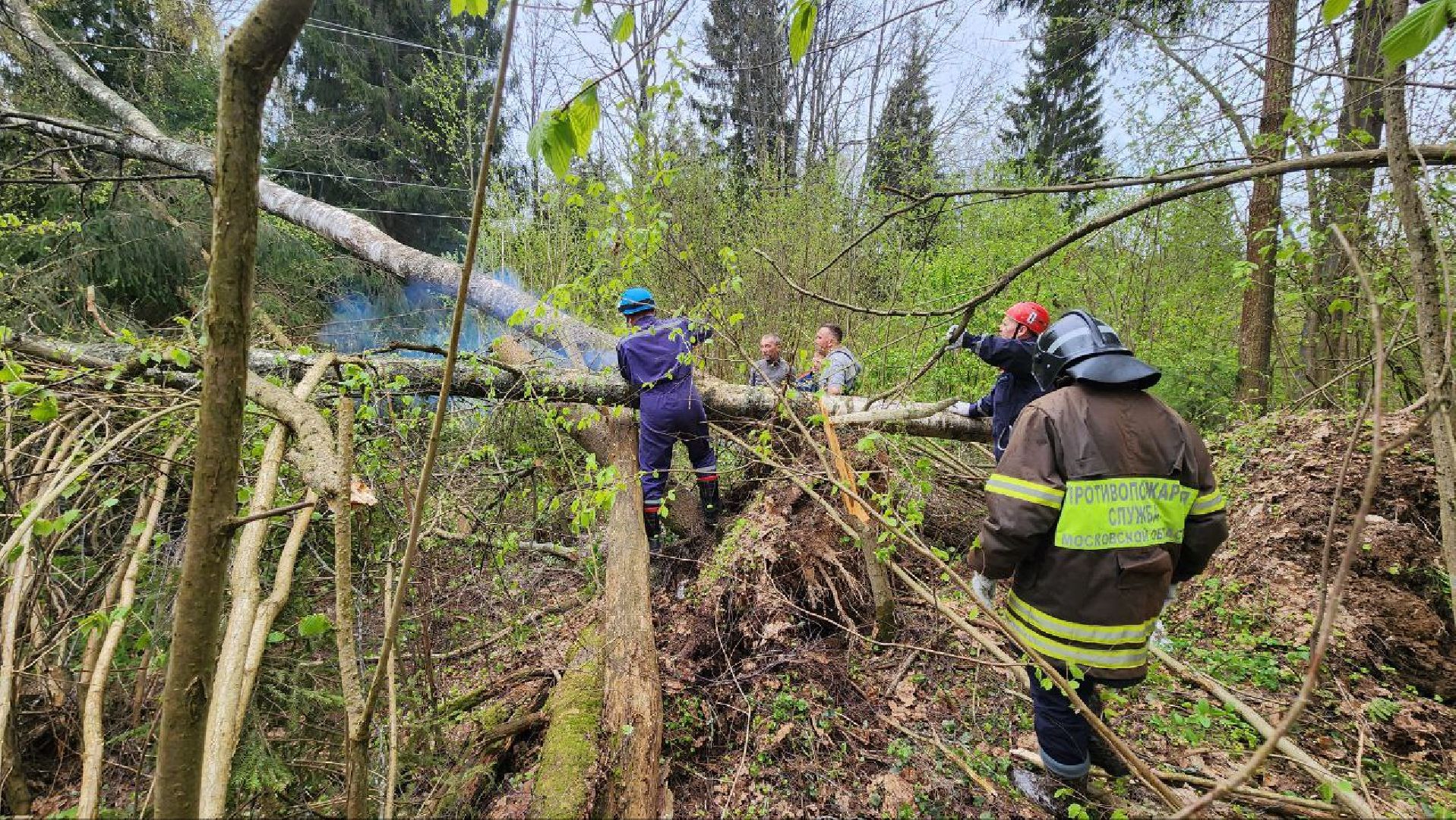 Дмитров, Россети, ЧП, Циклон, Болотоход,