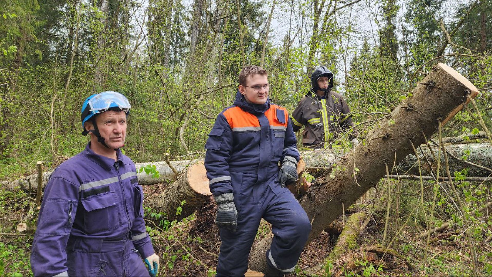 Дмитров, Россети, ЧП, Циклон, Болотоход,