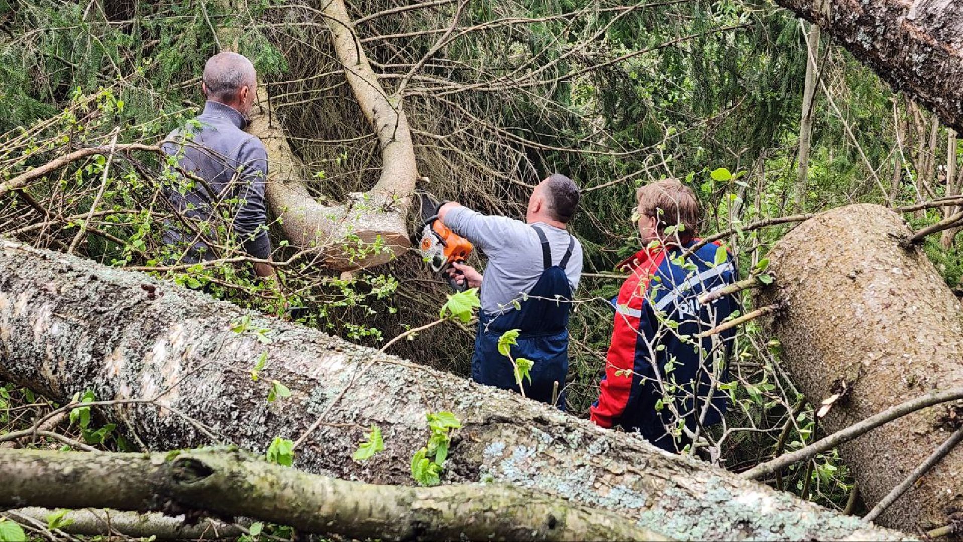 Дмитров, Россети, ЧП, Циклон, Болотоход,