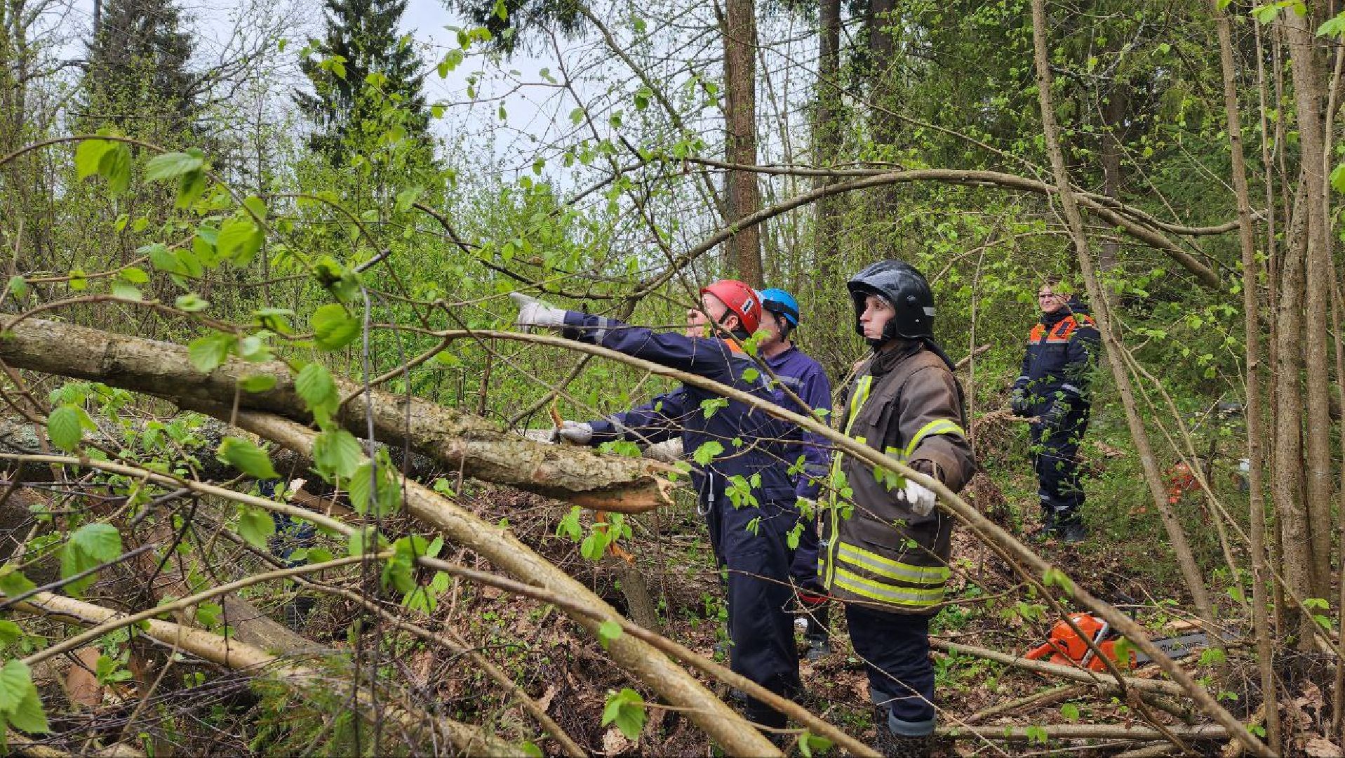 Дмитров, Россети, ЧП, Циклон, Болотоход,