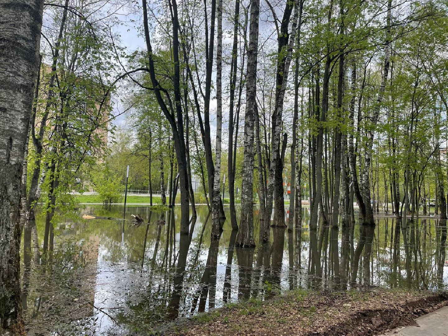 жкх, парк, вода,