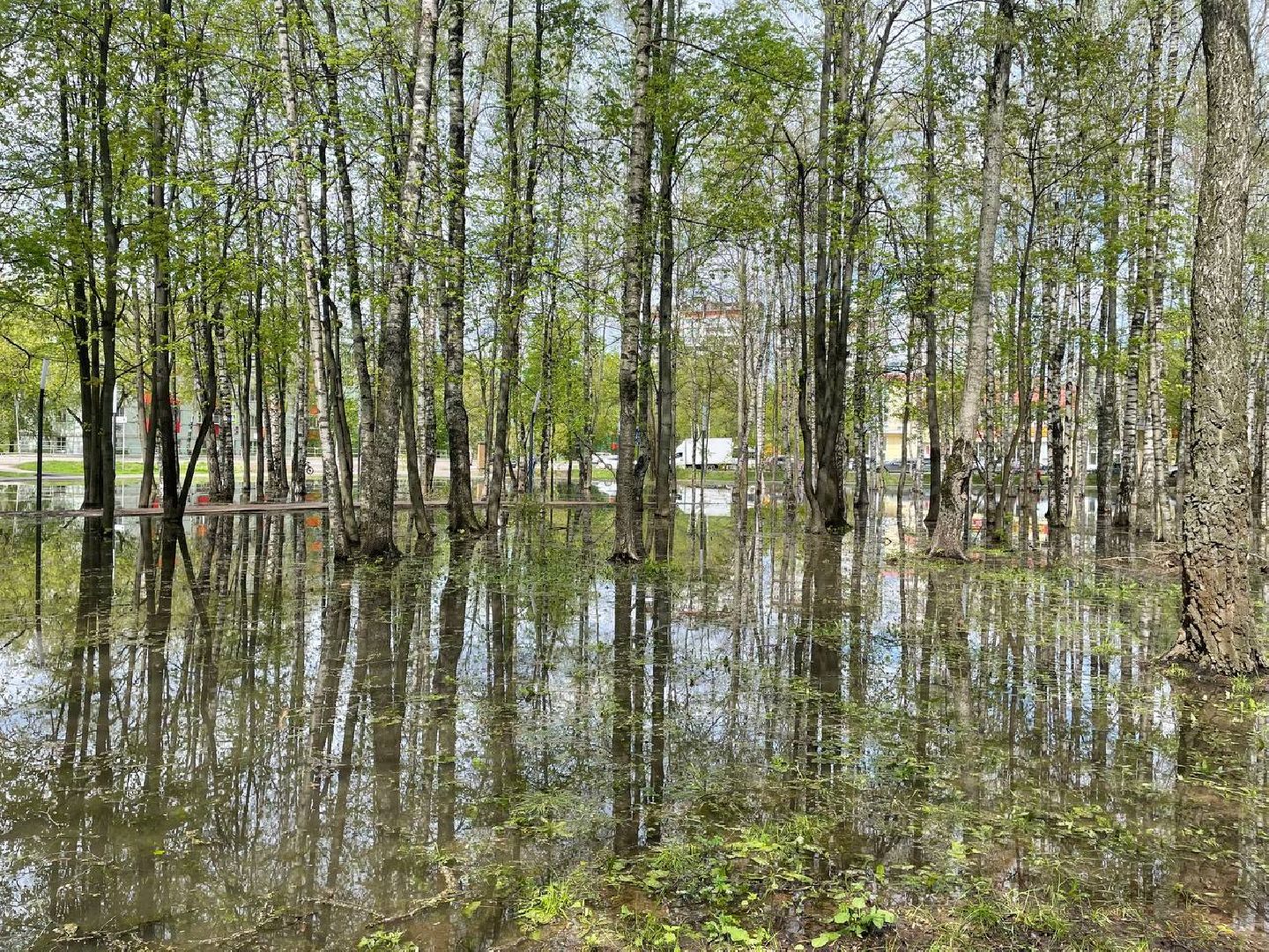 жкх, парк, вода,