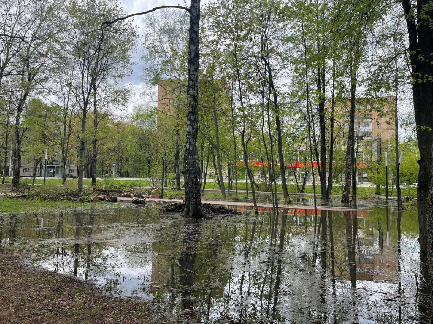 жкх, парк, вода,