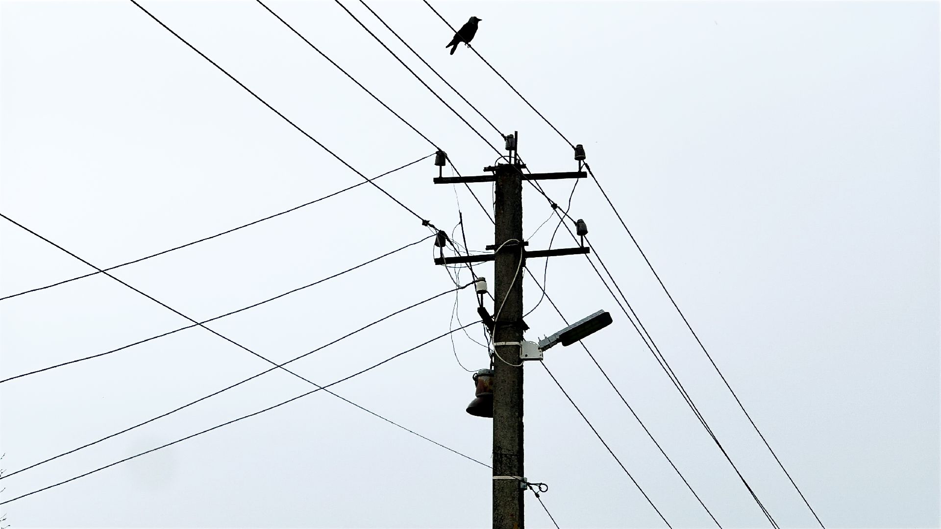 клин, общество, чп, жкх, электроэнергия, устранение последствий снегопада,