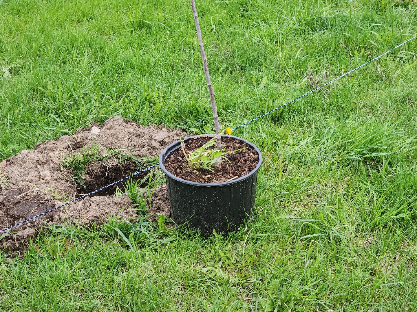 Черноголовка, Сад Победы, Патриотизм,