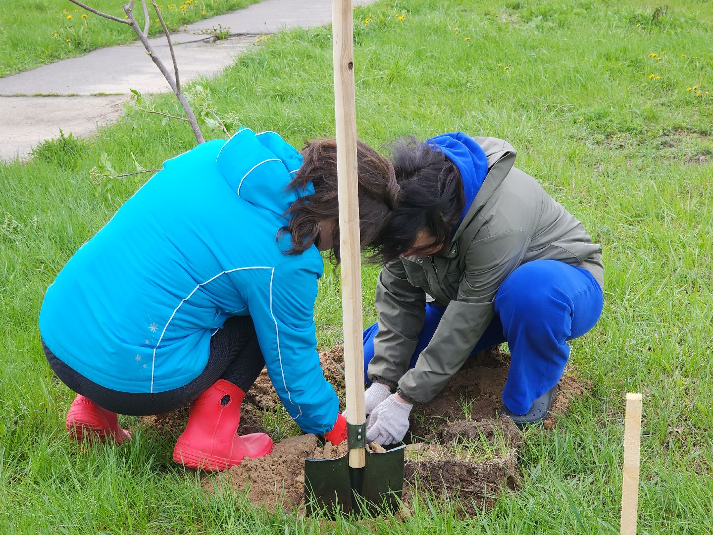 Черноголовка, Сад Победы, Патриотизм,