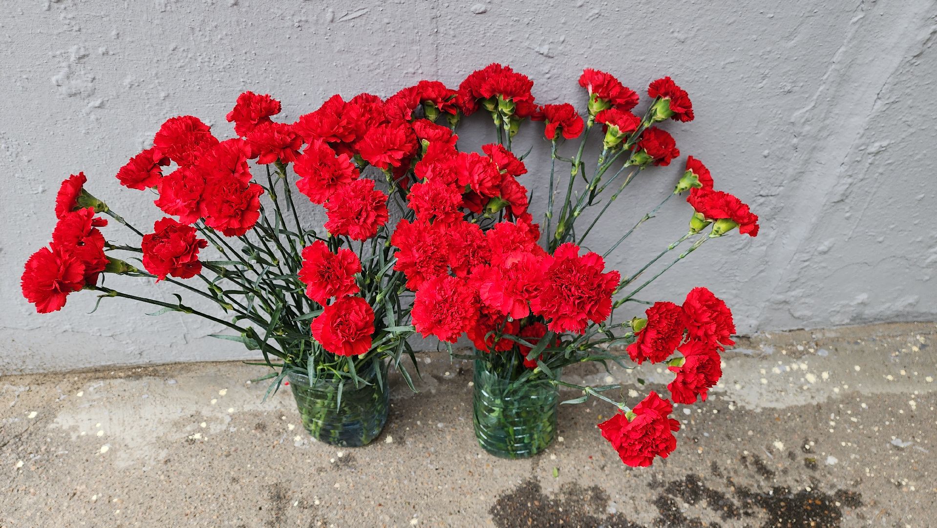 красногорск, митинг, 9 мая,