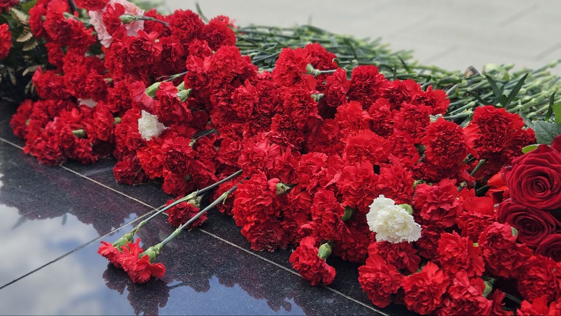 9 мая, митинг, жуковский,