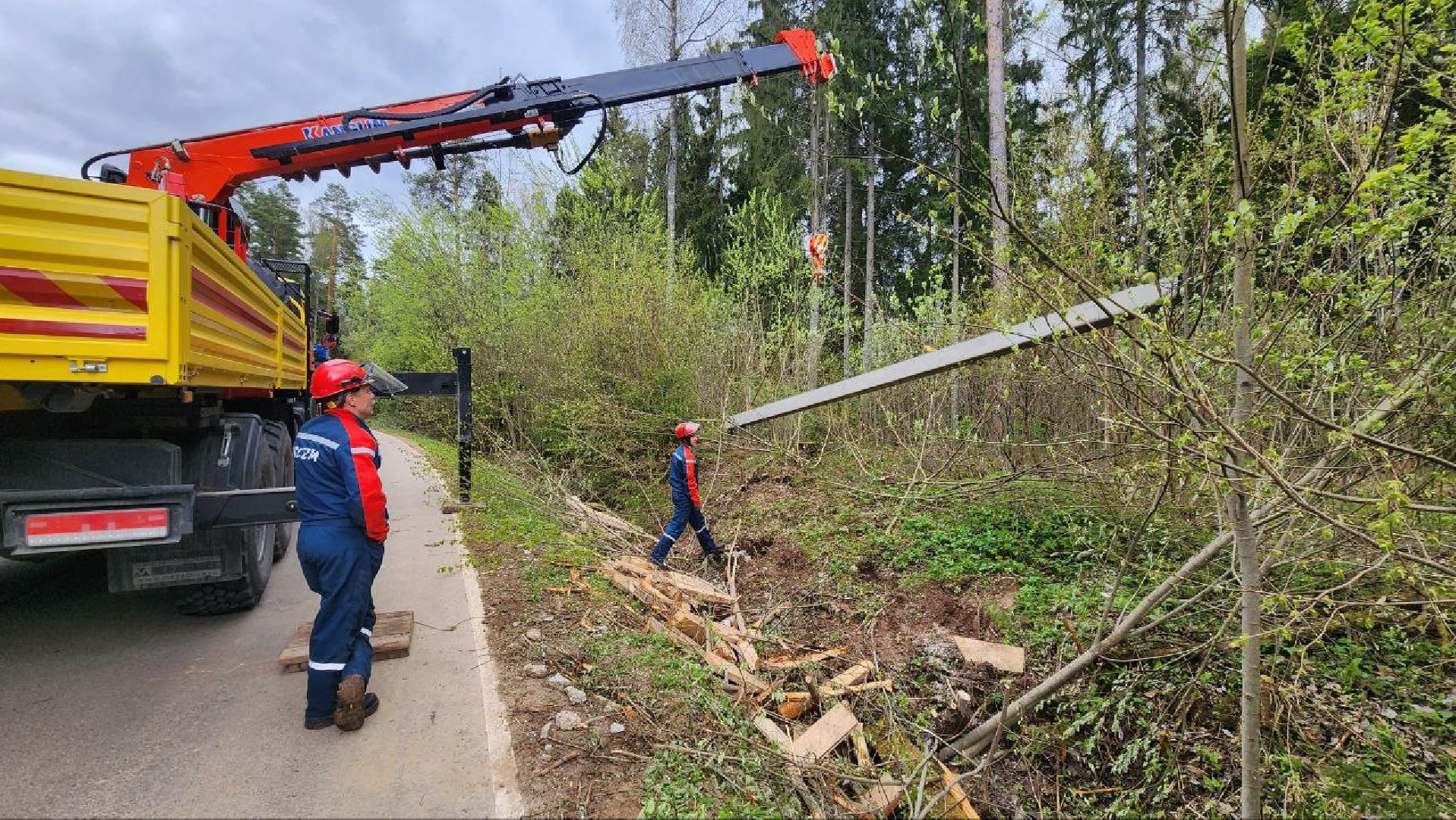 Дмитров, Россети, ЧП, Циклон,