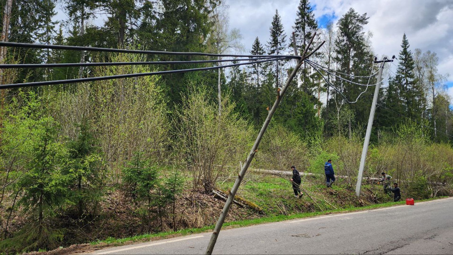 Дмитров, Россети, ЧП, Циклон,