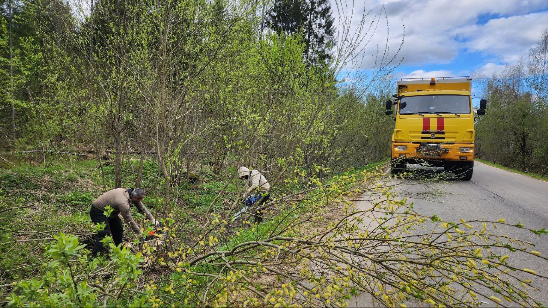 Дмитров, Россети, ЧП, Циклон,