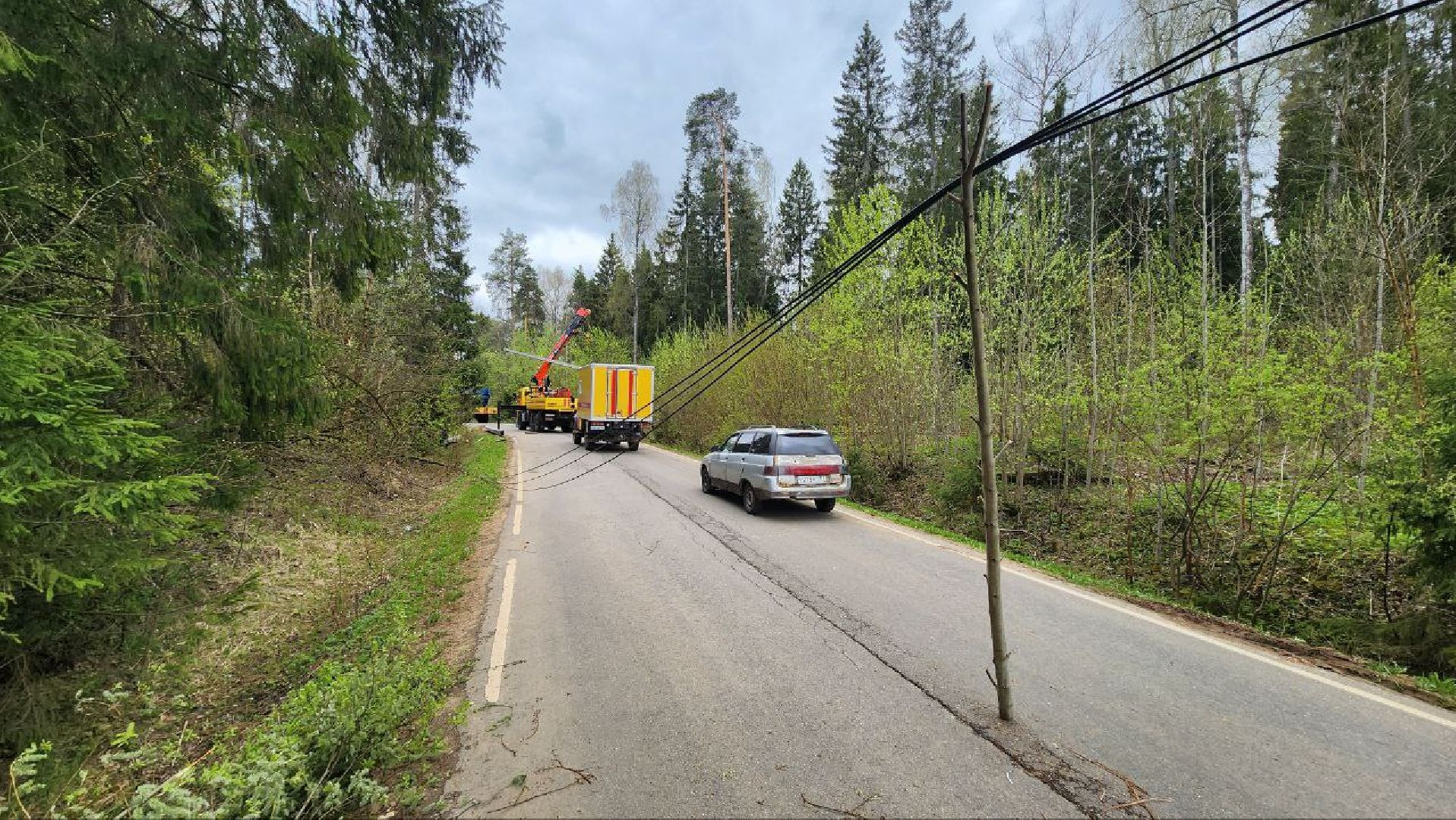 Дмитров, Россети, ЧП, Циклон,