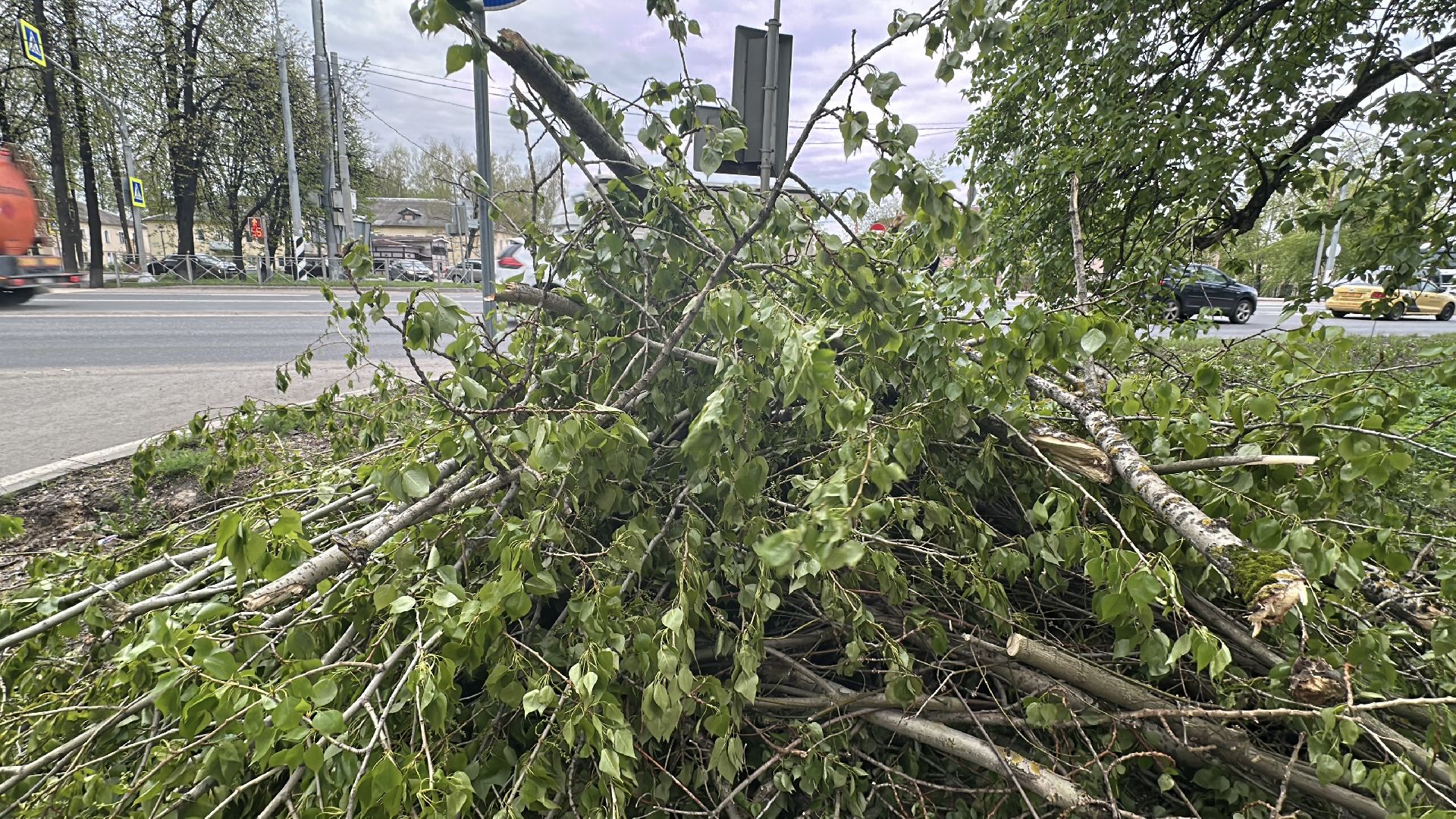 клин, общество, волонтеры подмосковья, жкх, ликвидация последствий снегопада,