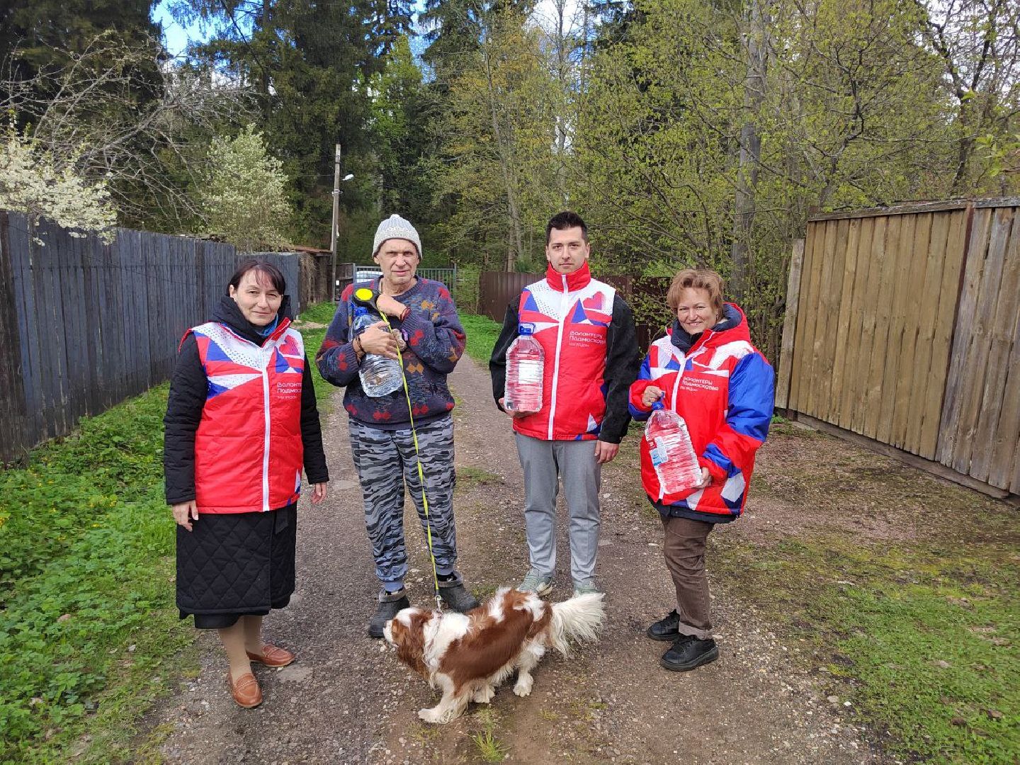 клин, общество, волонтеры подмосковья, жкх, ликвидация последствий снегопада,