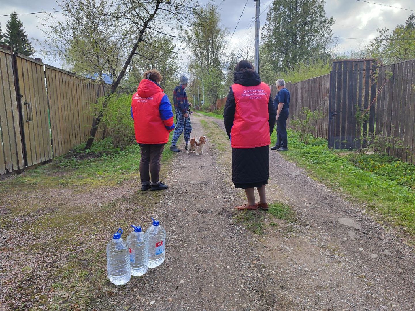 клин, общество, волонтеры подмосковья, жкх, ликвидация последствий снегопада,