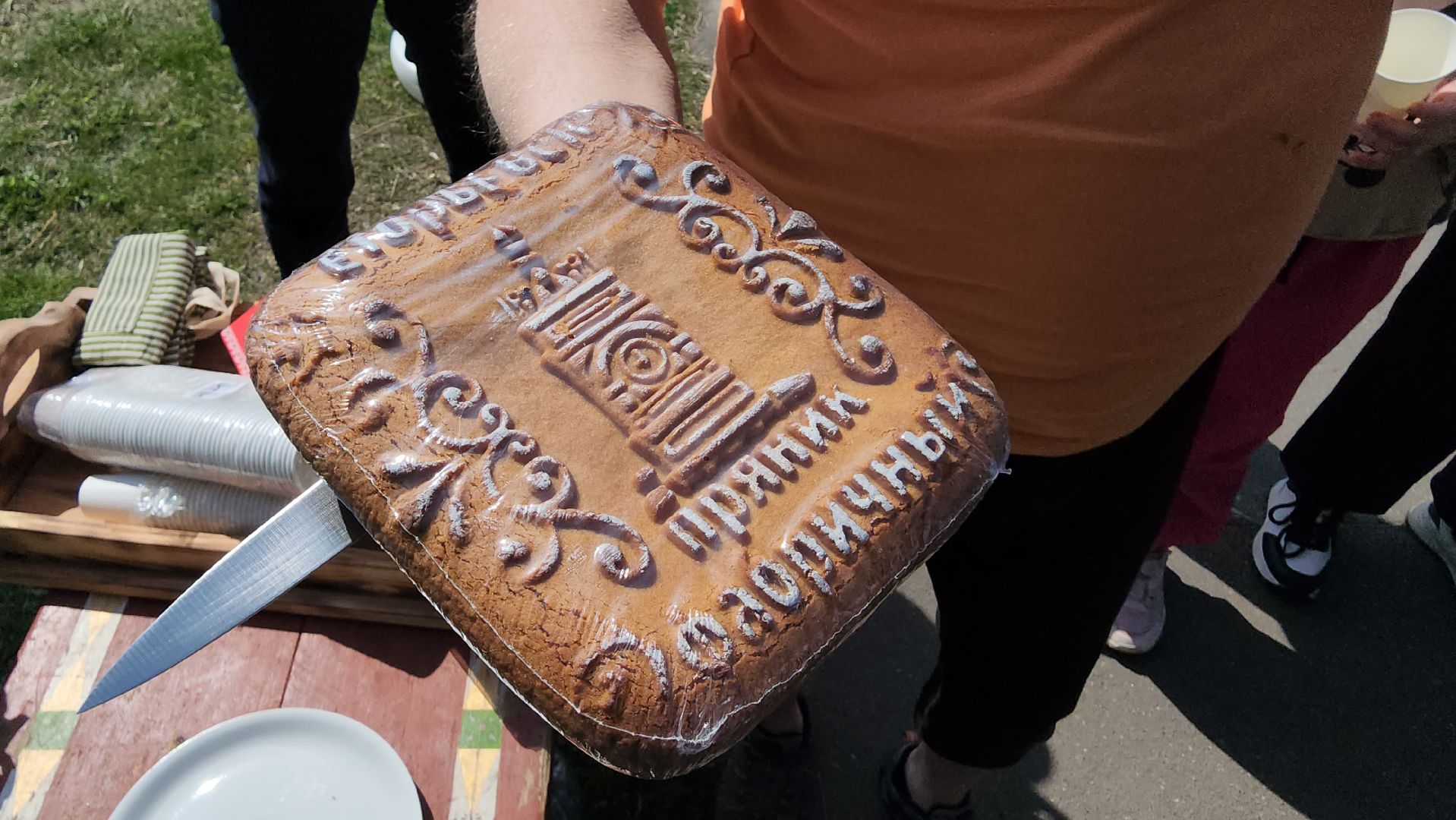 Егорьевск, Московская область, Подмосковье,