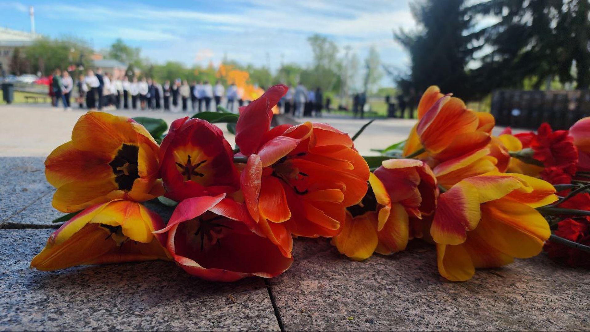 ВахтаПамяти #АллеяСлавы #ПомнимГордимся, Луховицы,