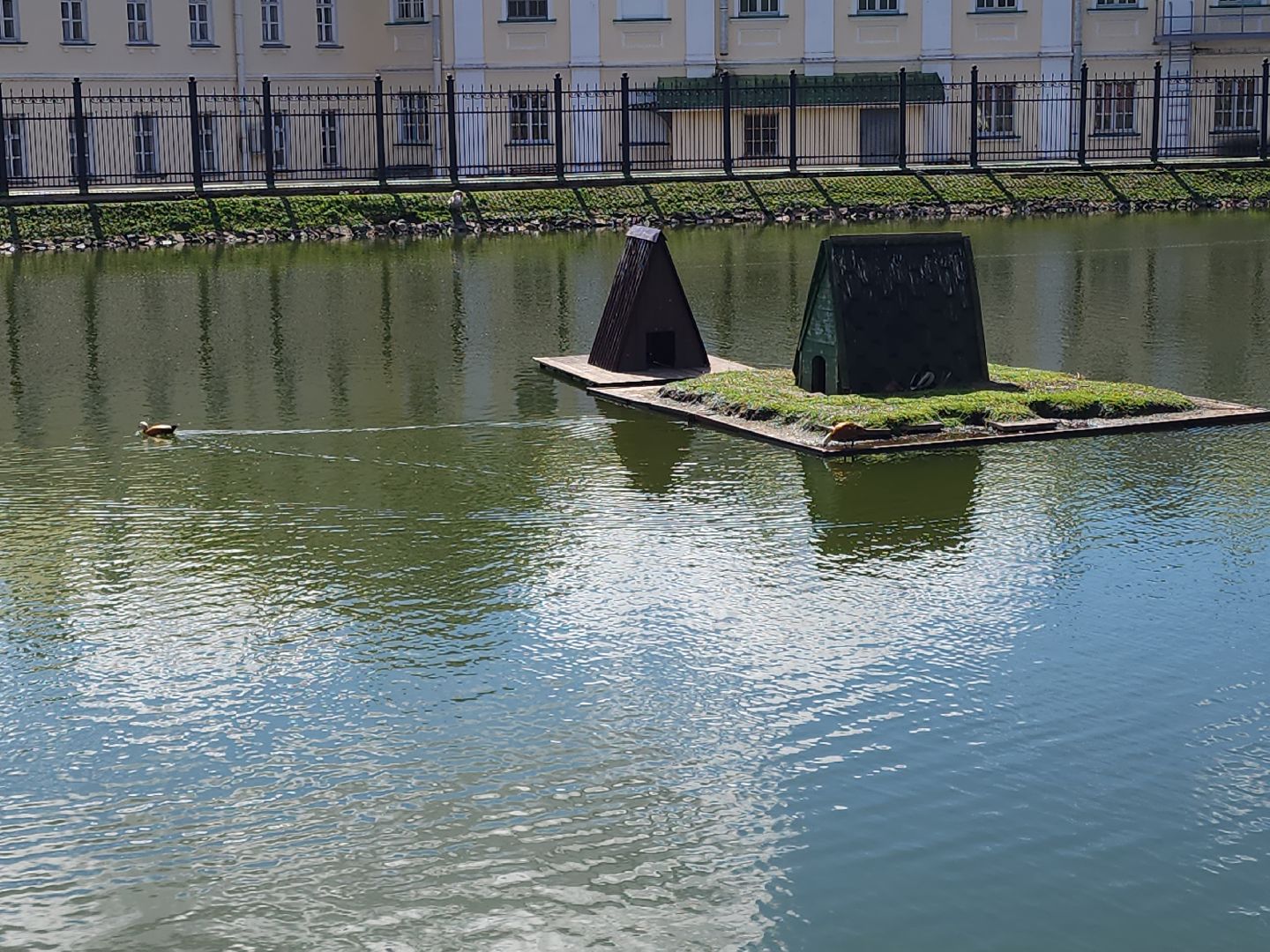 сергиев посад, белый пруд, огари, красные утки,