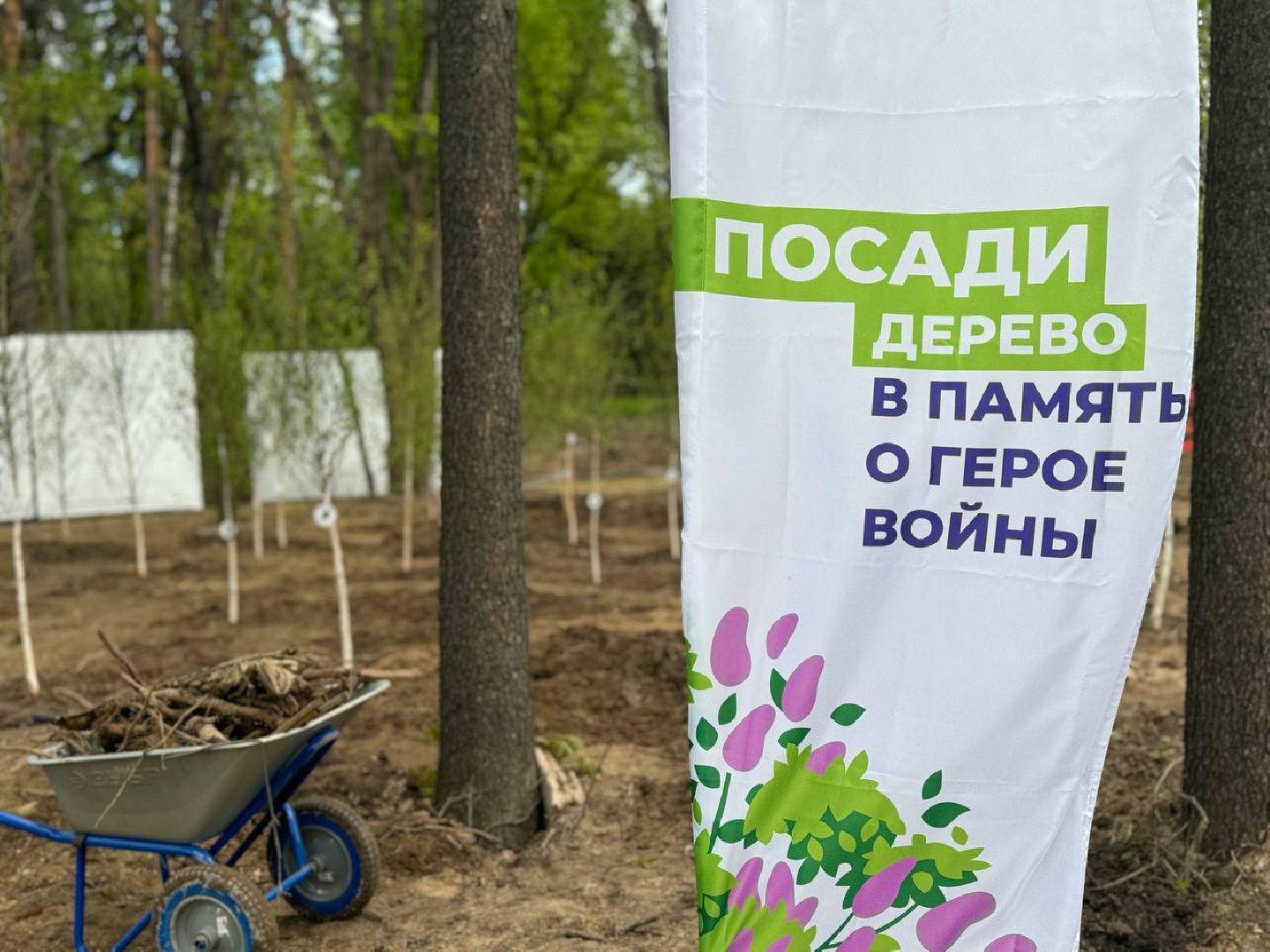 сад памяти, акция, посадка деревьев, кучинский лесопарк,