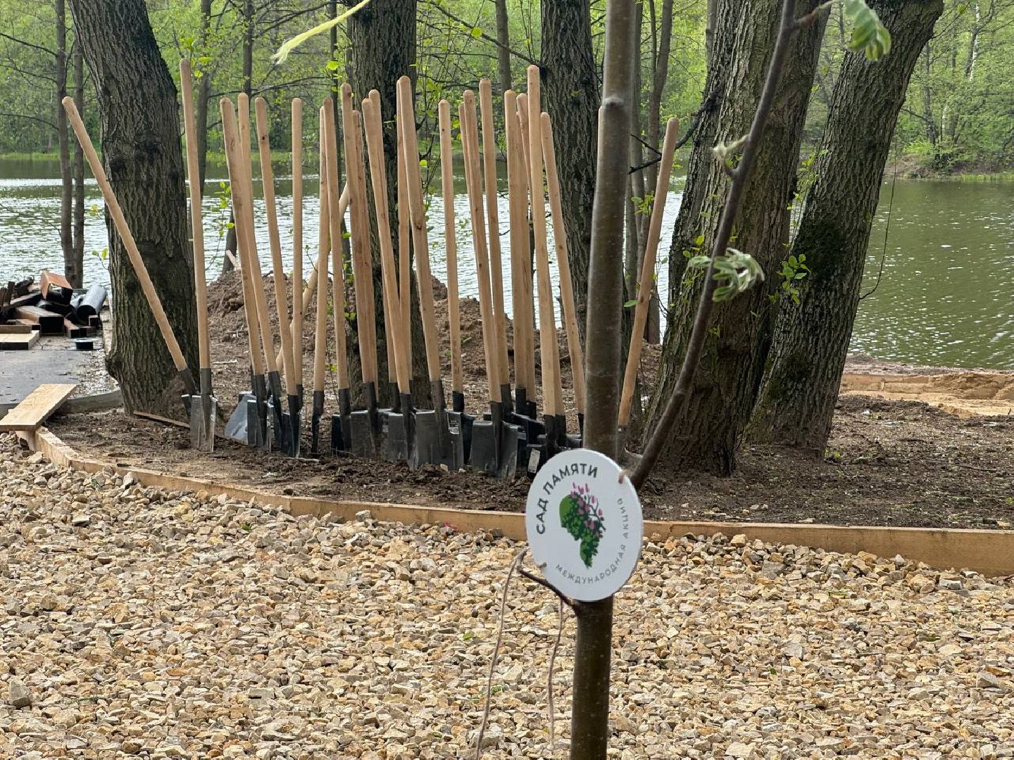 сад памяти, акция, посадка деревьев, кучинский лесопарк,
