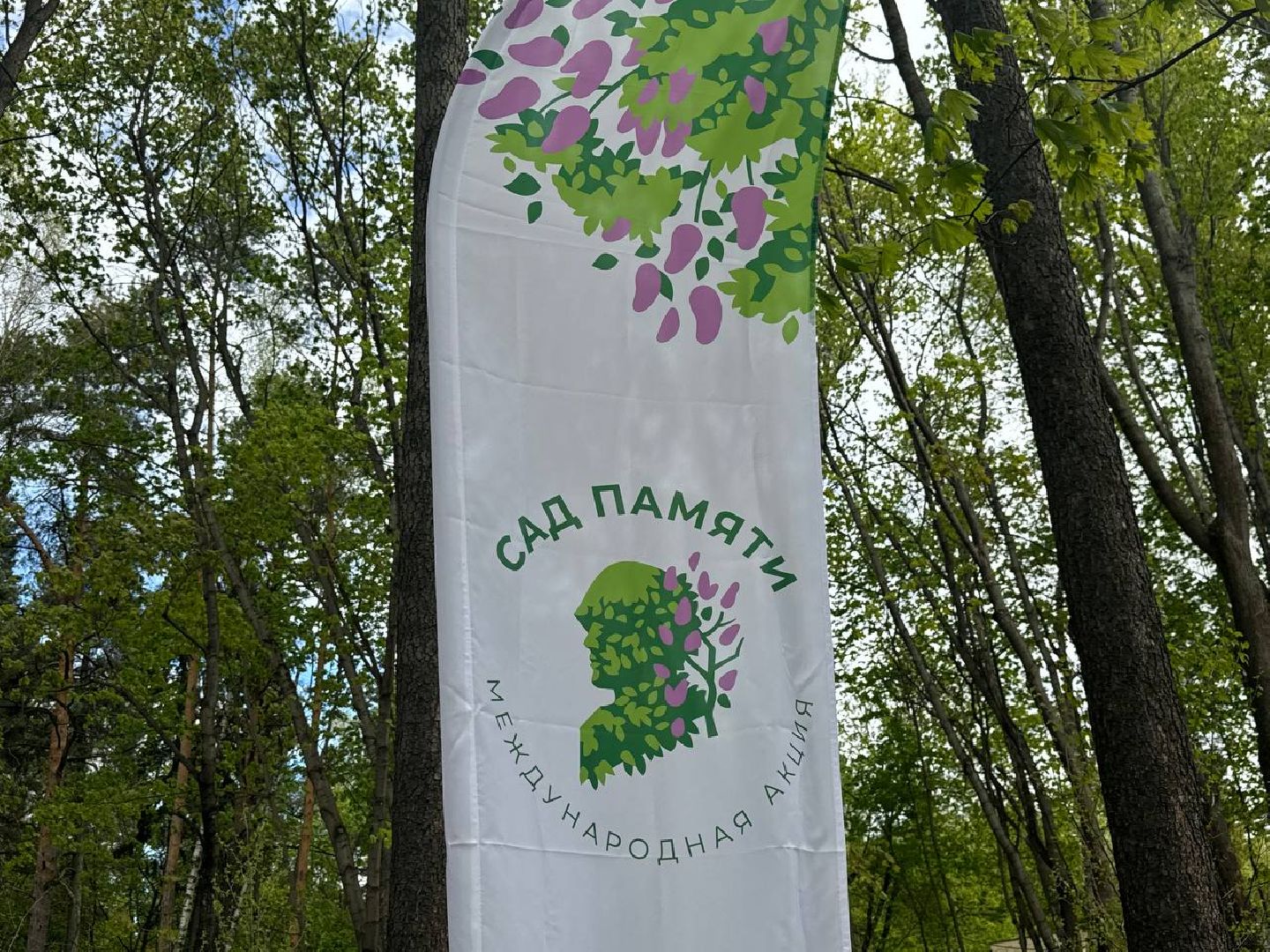 сад памяти, акция, посадка деревьев, кучинский лесопарк,