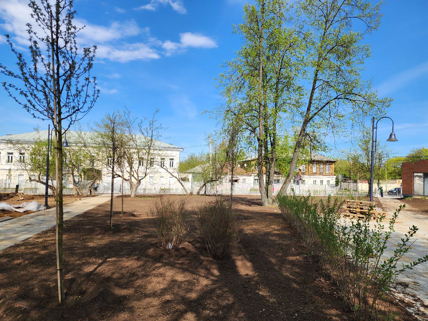 Ногинск, Благоустройство , Ремонт, Жители , Растения ,