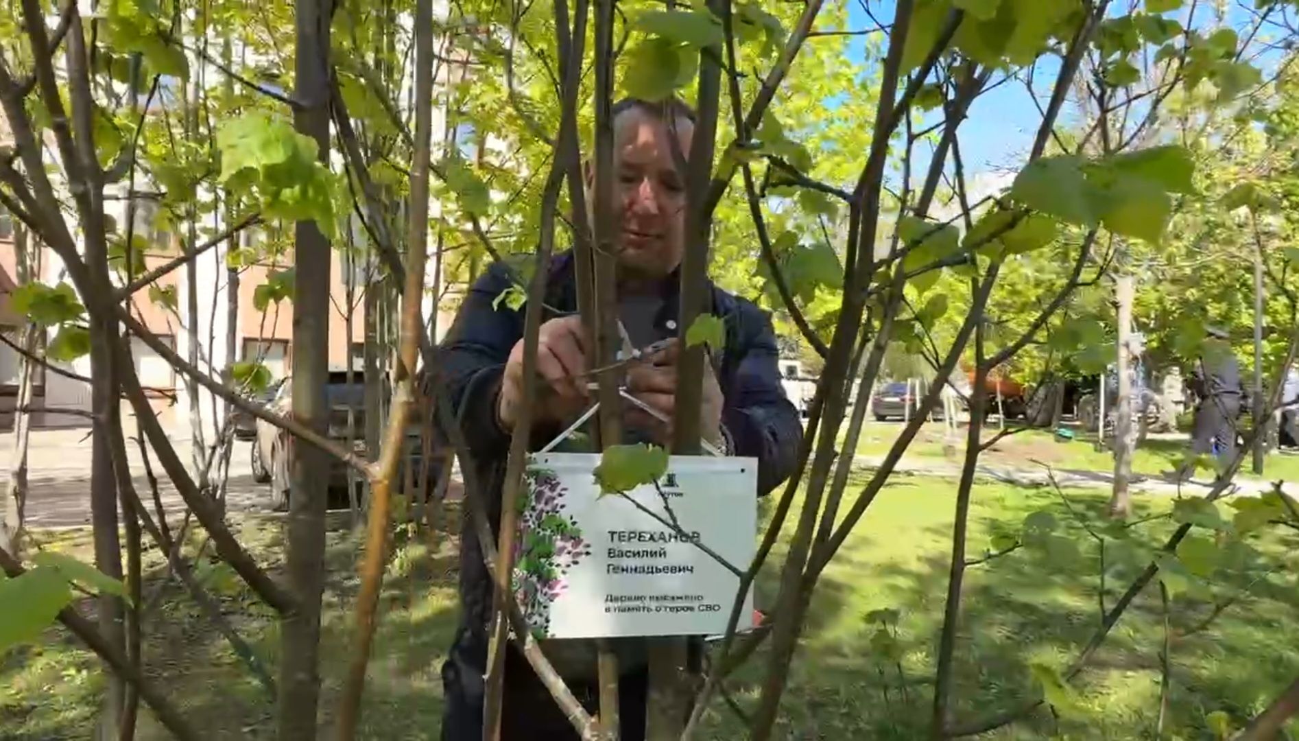 Реутов , Сад памяти, Посадка деревьев , Липы, Яблони,Черемуха,  Береза,