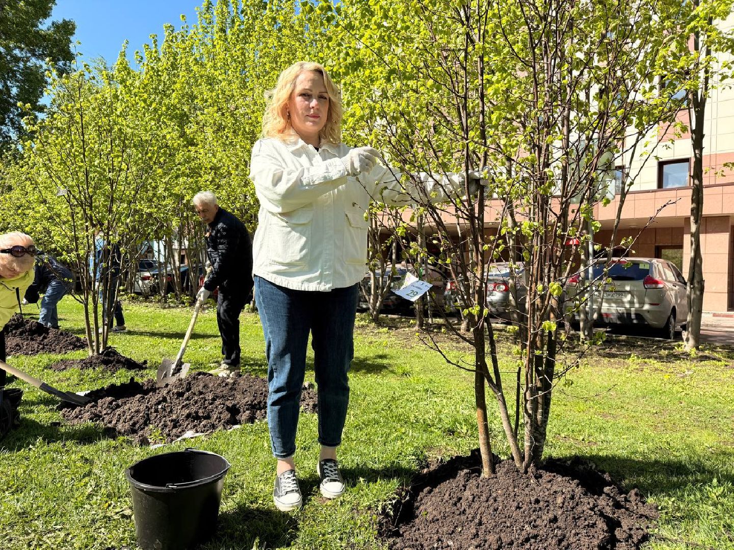 Реутов , Сад памяти, Посадка деревьев , Липы, Яблони,Черемуха,  Береза,