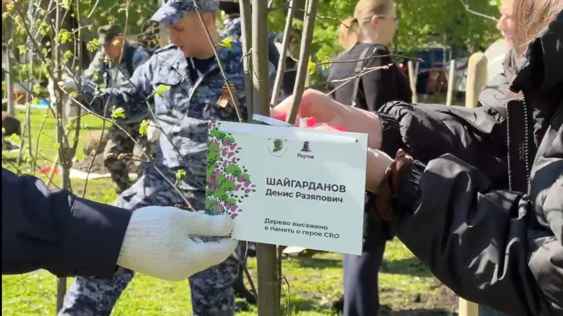 Реутов , Сад памяти, Посадка деревьев , Липы, Яблони,Черемуха,  Береза,