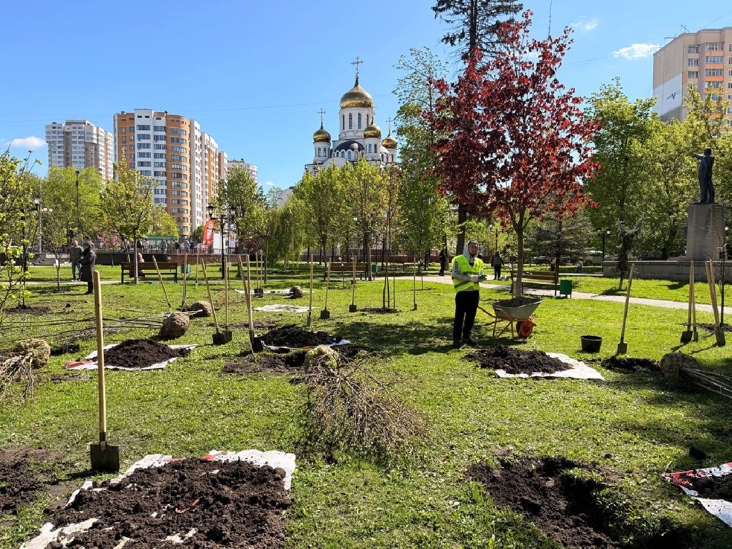 Реутов , Сад памяти, Посадка деревьев , Липы, Яблони,Черемуха,  Береза,