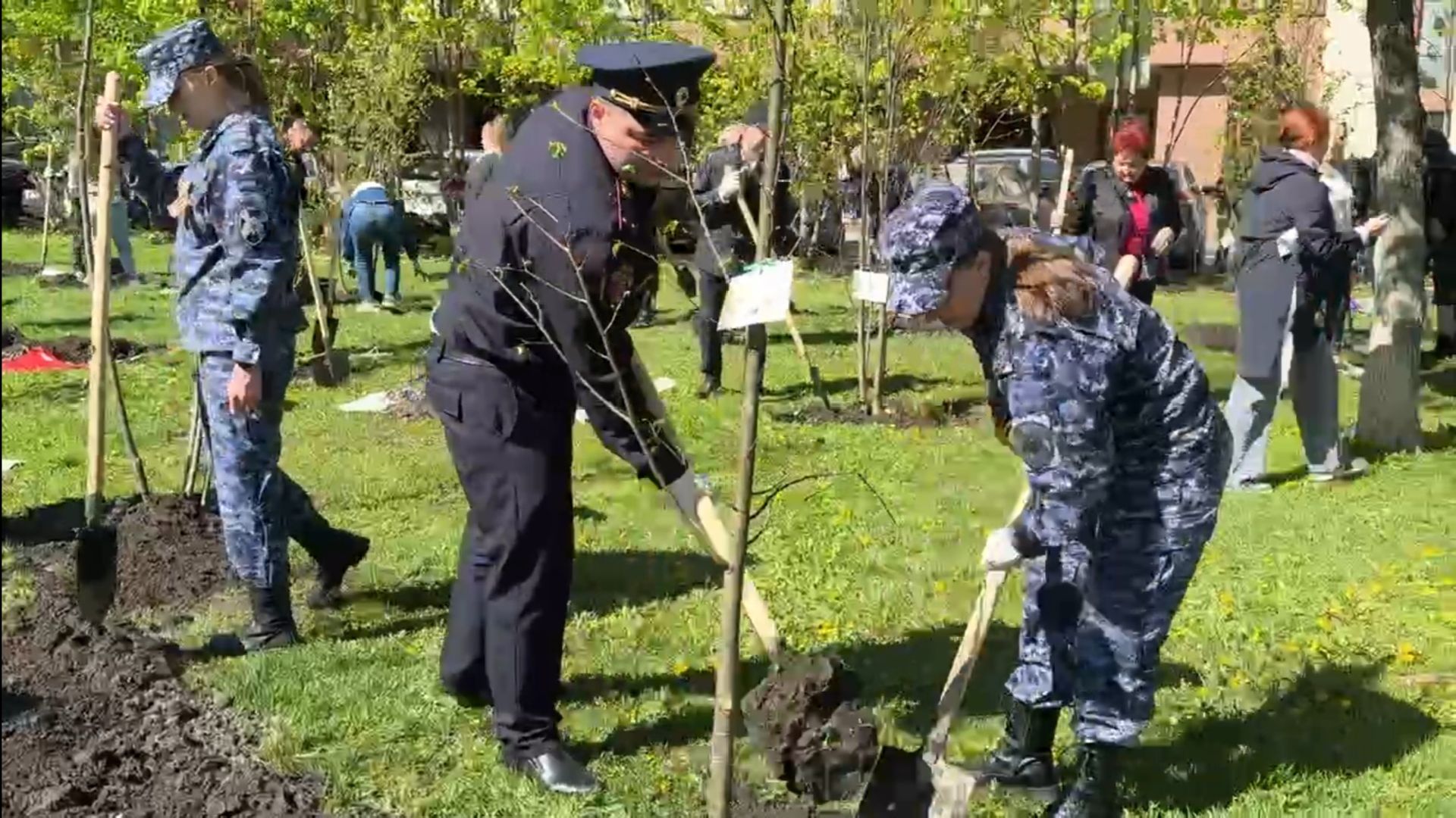 Реутов , Сад памяти, Посадка деревьев , Липы, Яблони,Черемуха,  Береза,