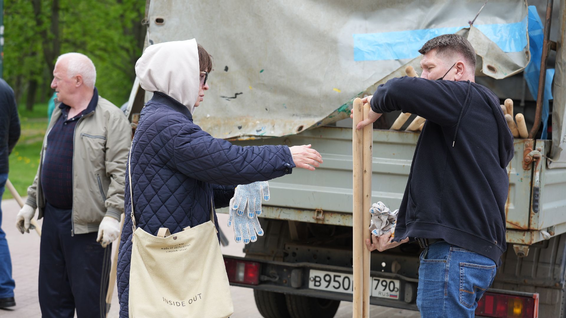 сад памяти, сирень,