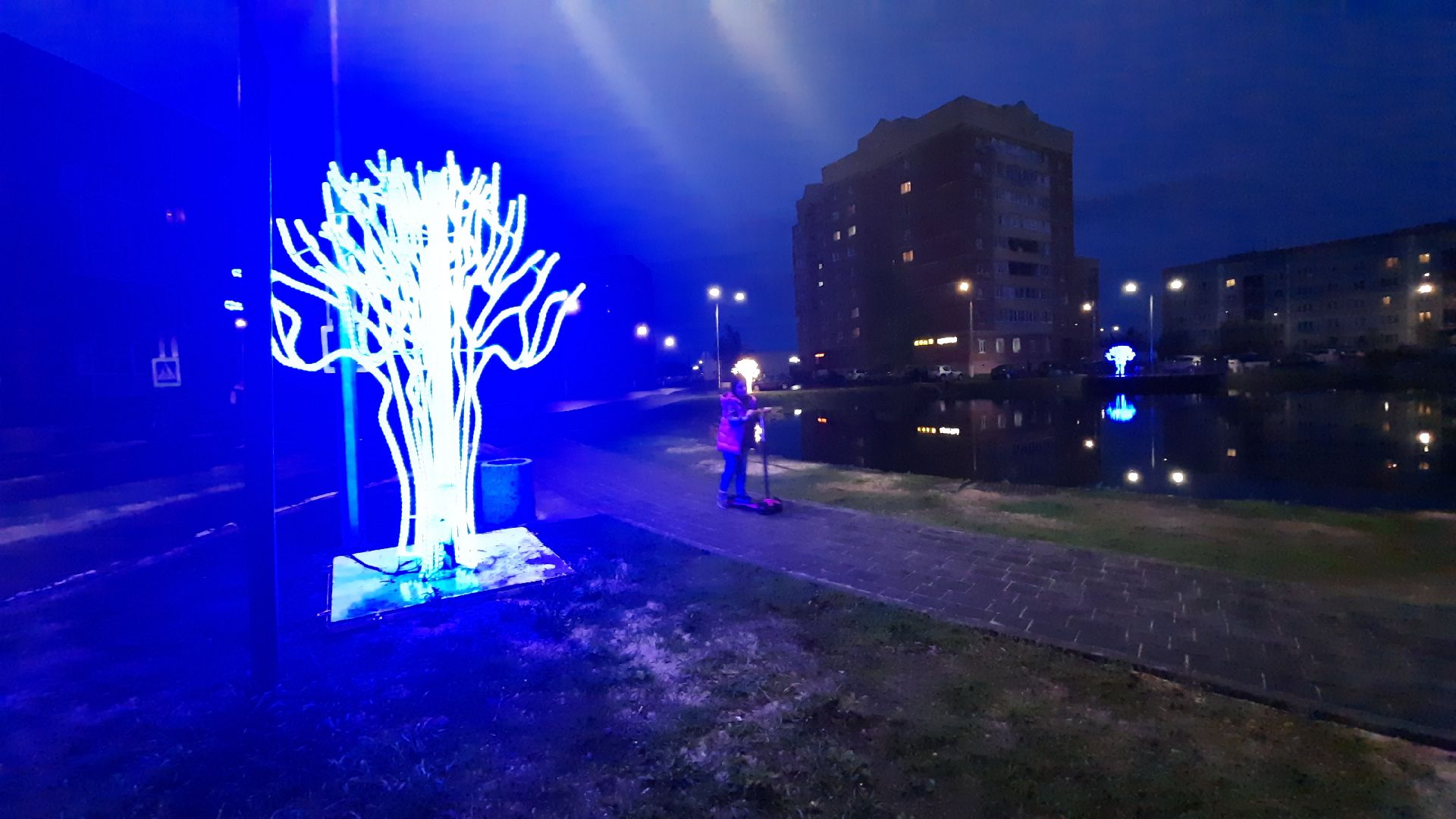 сказочный лес, Шатура, иллюминация, перемены