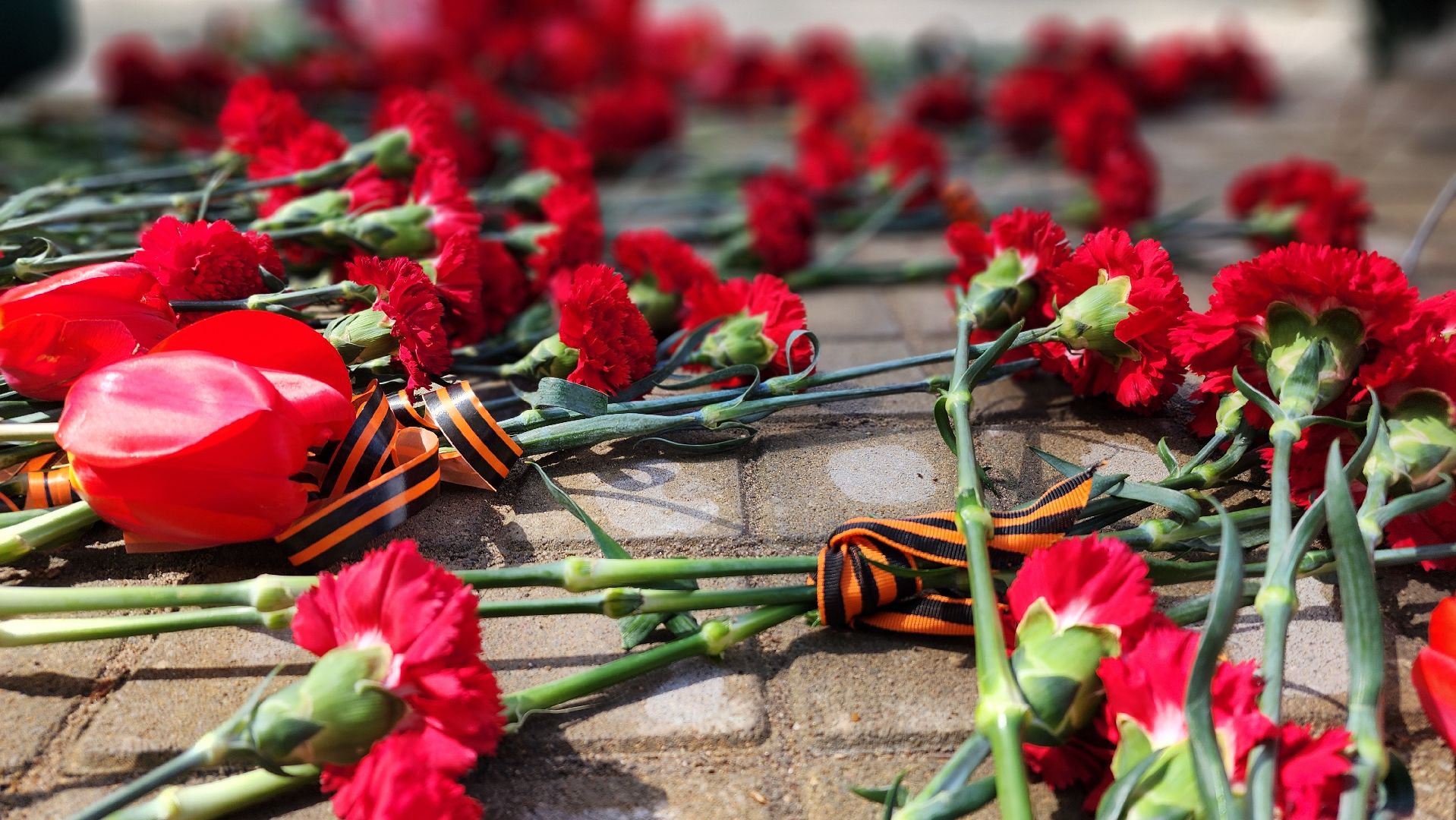 волоколамск, 9 мая, памятные мероприятия,