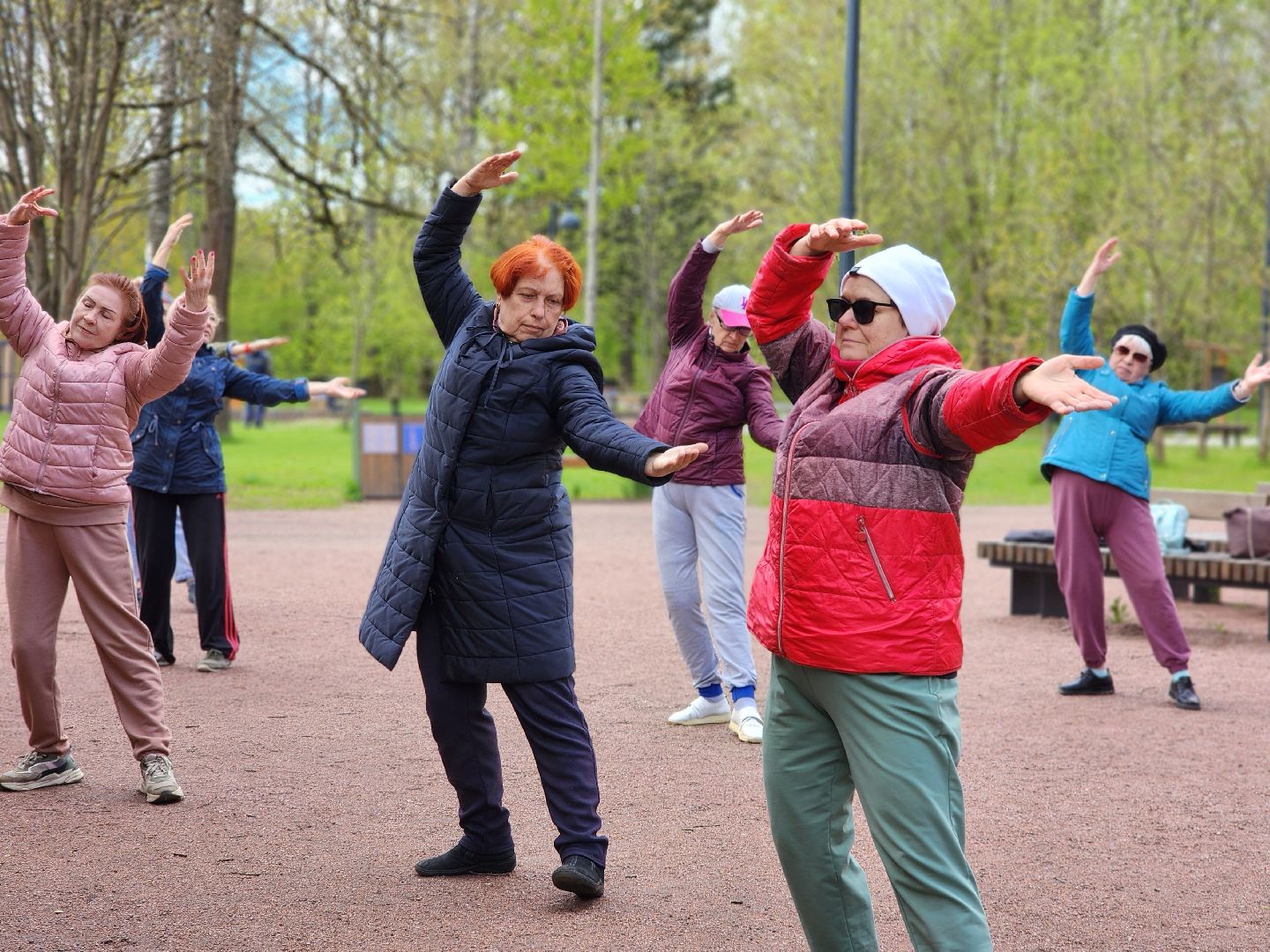 фрязино, лесопарк, гимнастика, физкультура,
