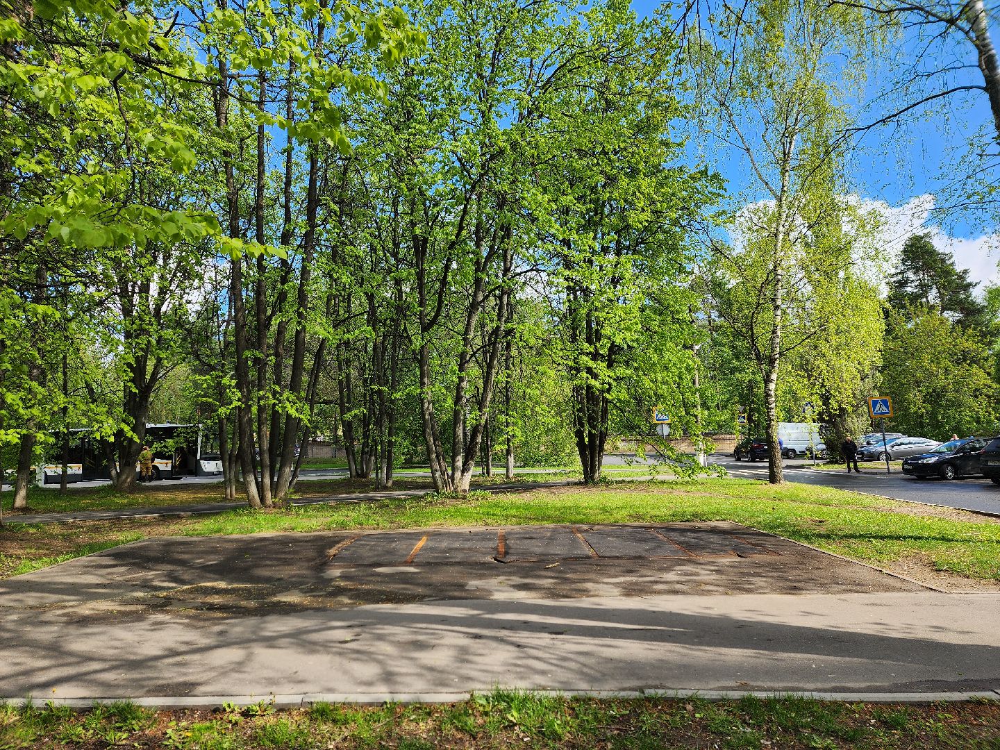 королёв, незаконные торговые точки, благоустройство в королеве ,