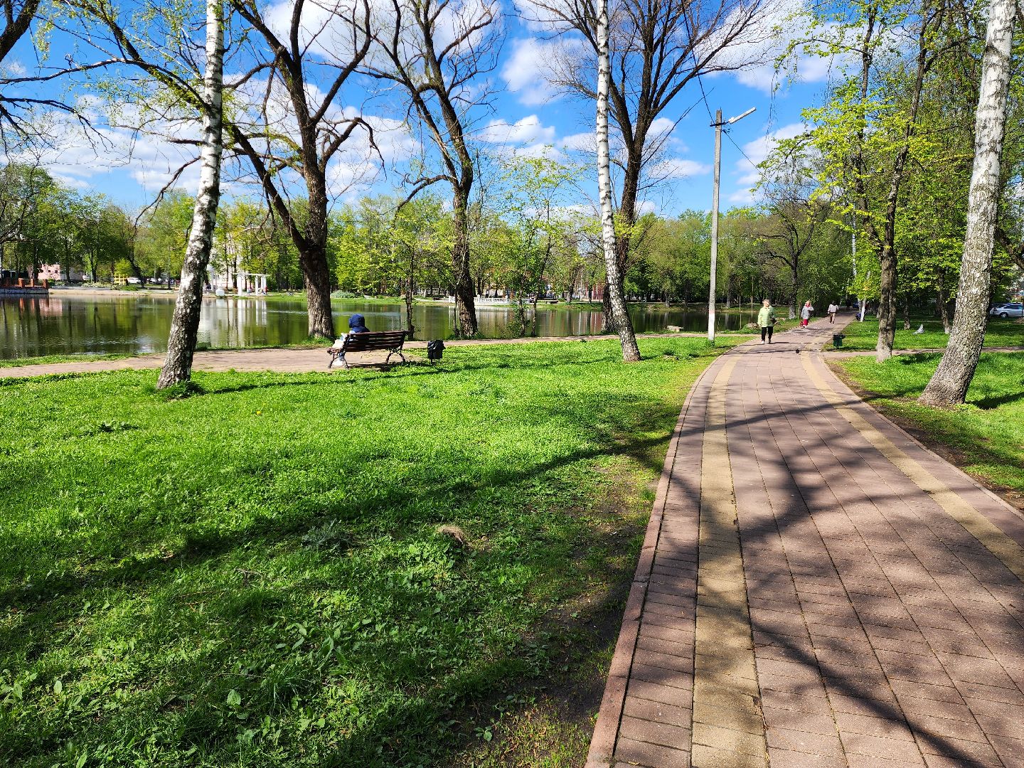 раменское, благоустройство, всероссийское голосование за объекты благоустройства , береговая зона озера пионер,