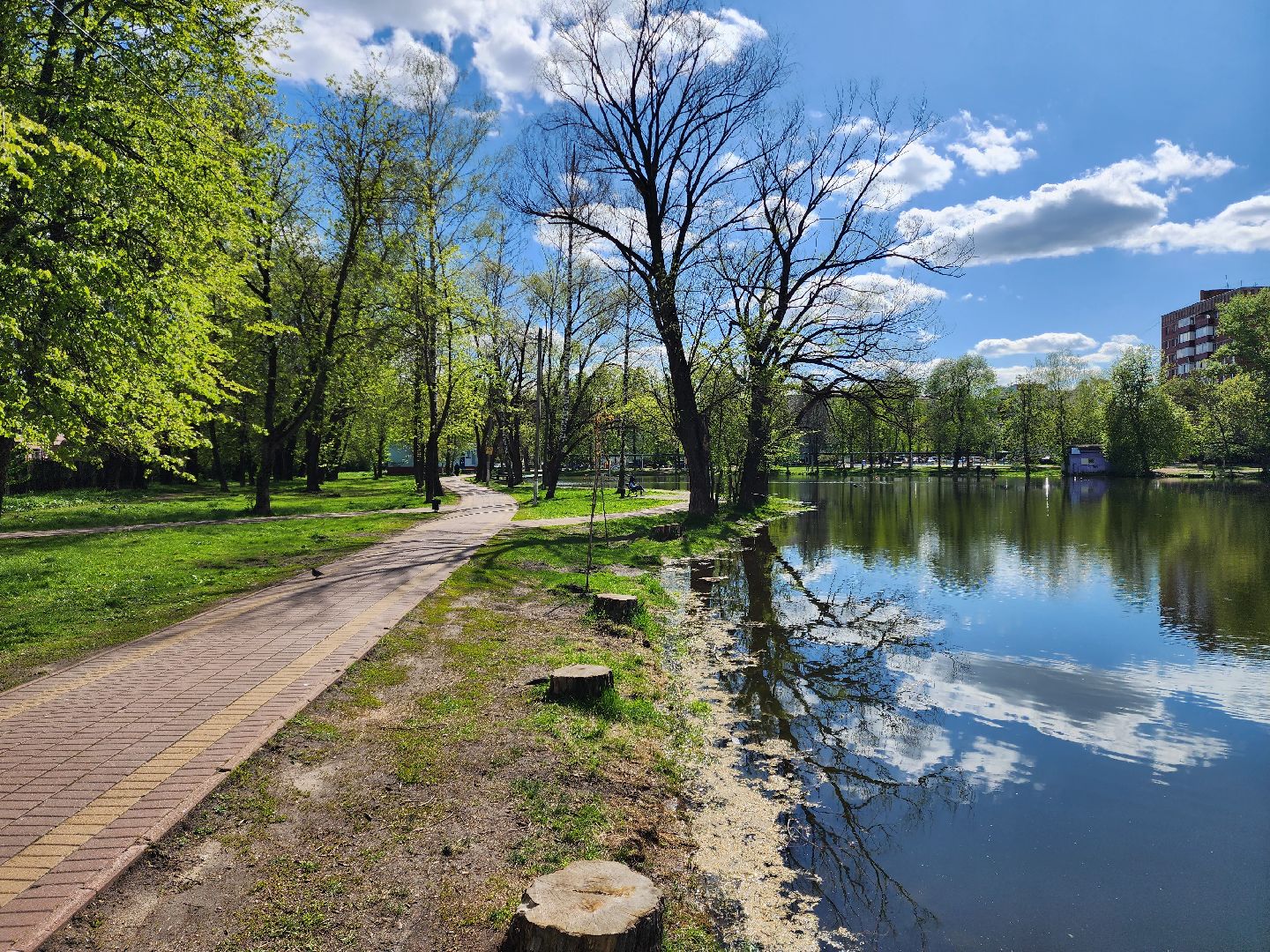 раменское, благоустройство, всероссийское голосование за объекты благоустройства , береговая зона озера пионер,