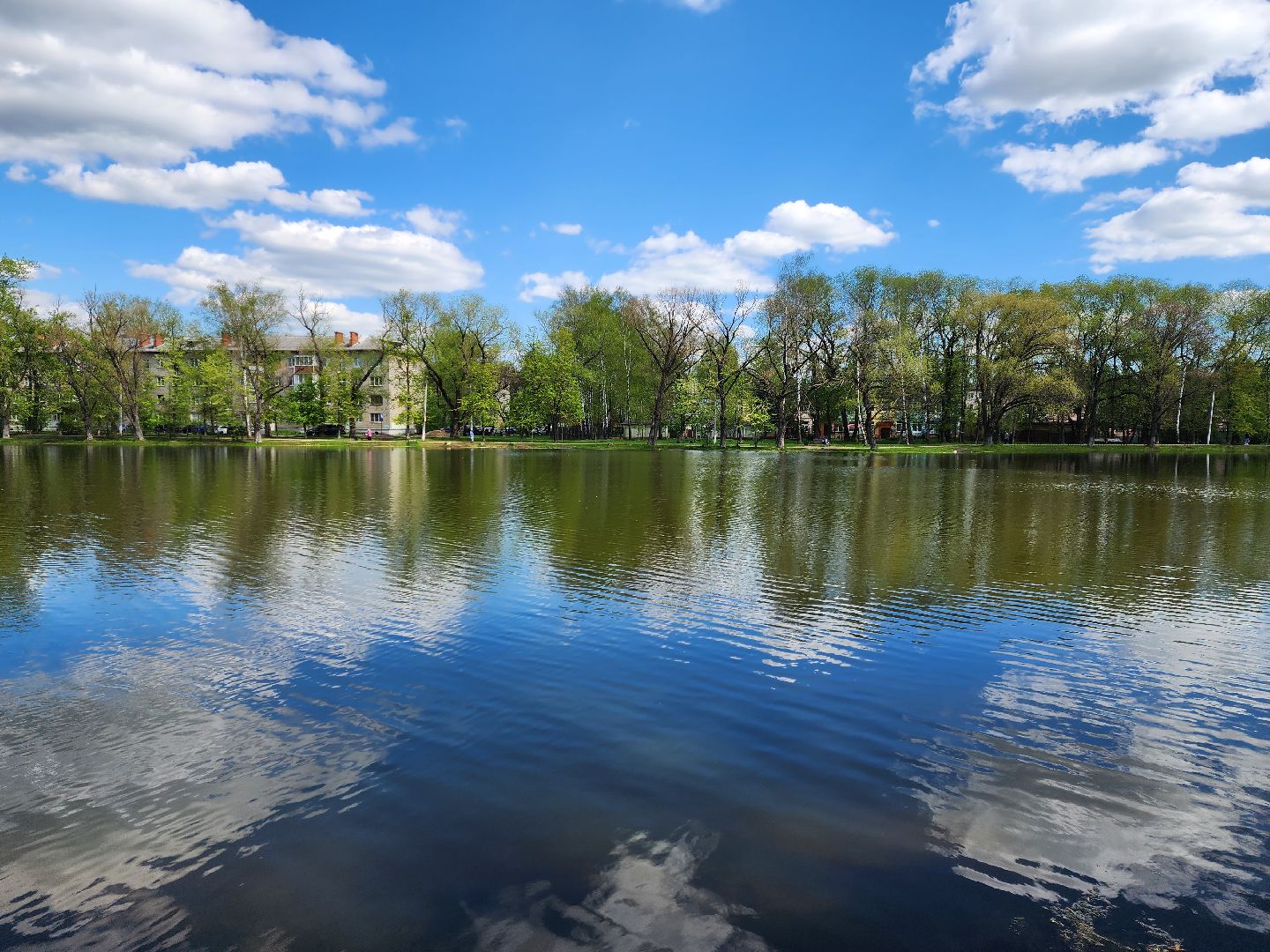 раменское, благоустройство, всероссийское голосование за объекты благоустройства , береговая зона озера пионер,