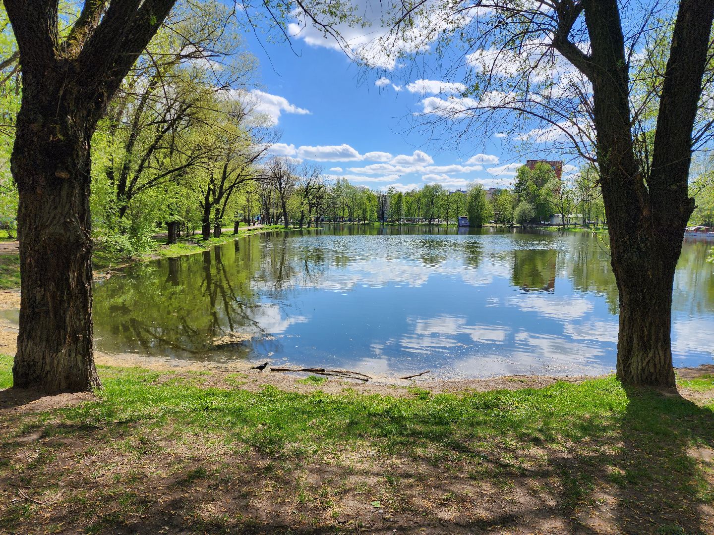 раменское, благоустройство, всероссийское голосование за объекты благоустройства , береговая зона озера пионер,