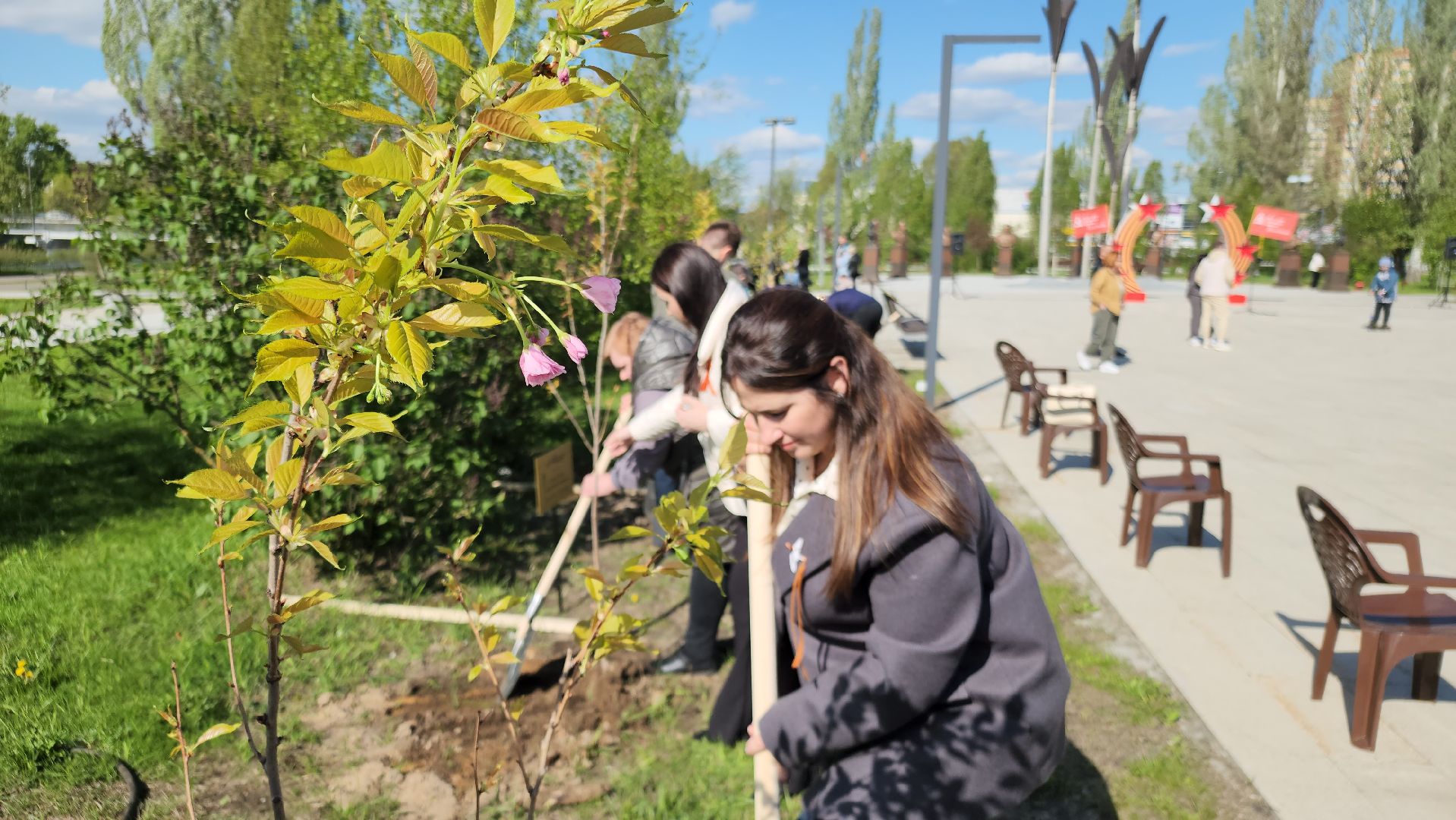 аллея памяти, орехово-зуево,