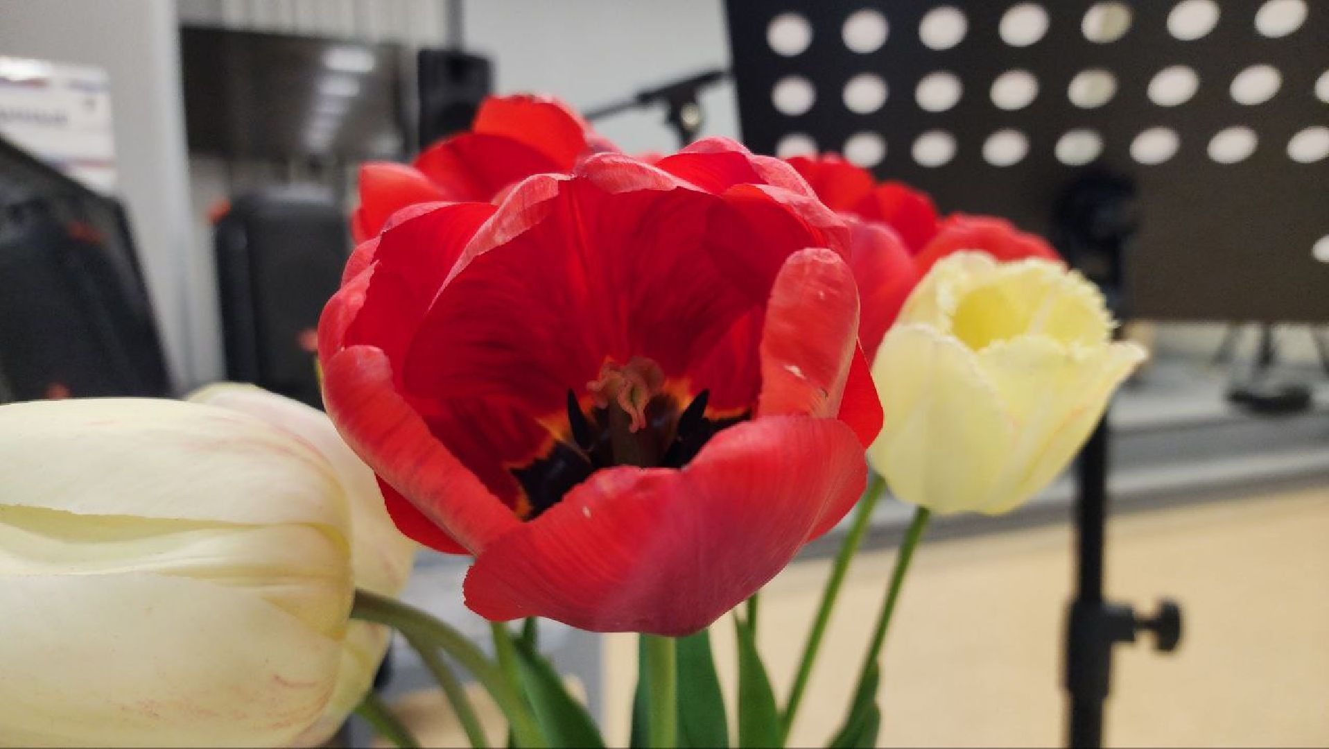 80летПобеды ЛуховицыПомнит,  Ветераны,