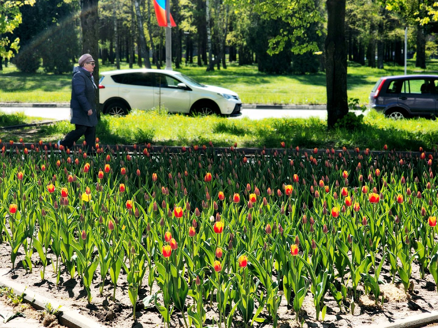 пущино , серпухов, благоустройства, цветы,