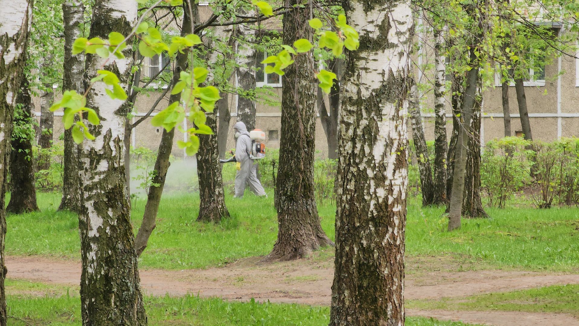 павловский  посад, парк победы, обработка ,