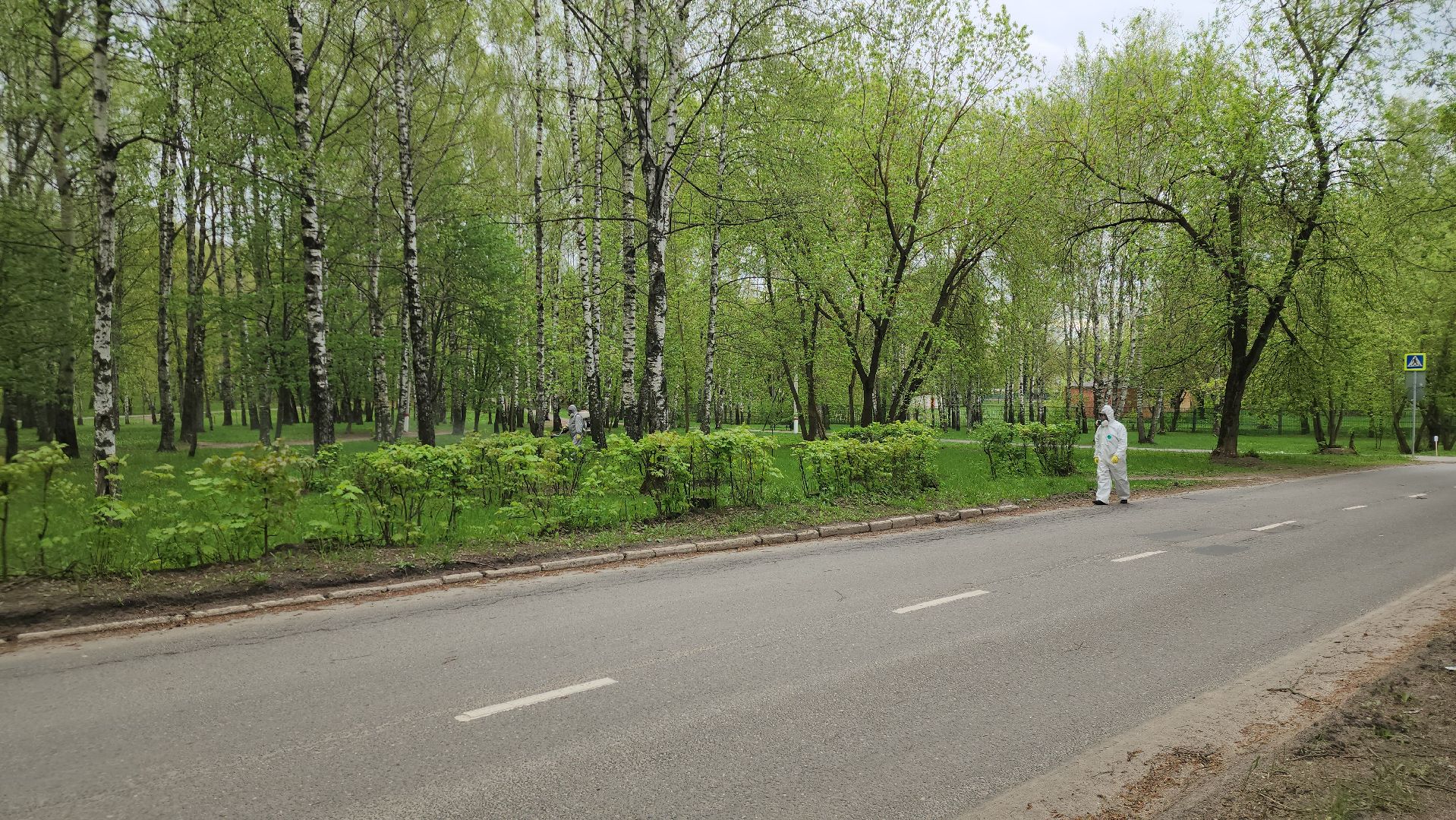 павловский  посад, парк победы, обработка ,