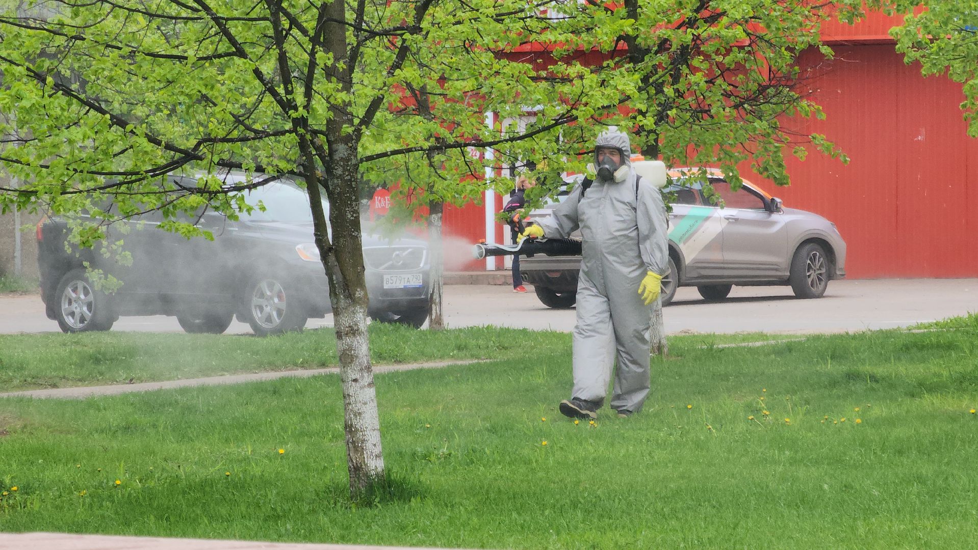 павловский  посад, парк победы, обработка ,