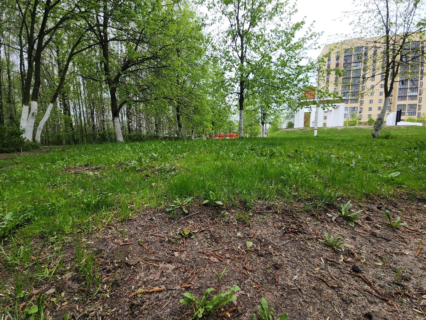 павловский  посад, парк победы, обработка ,